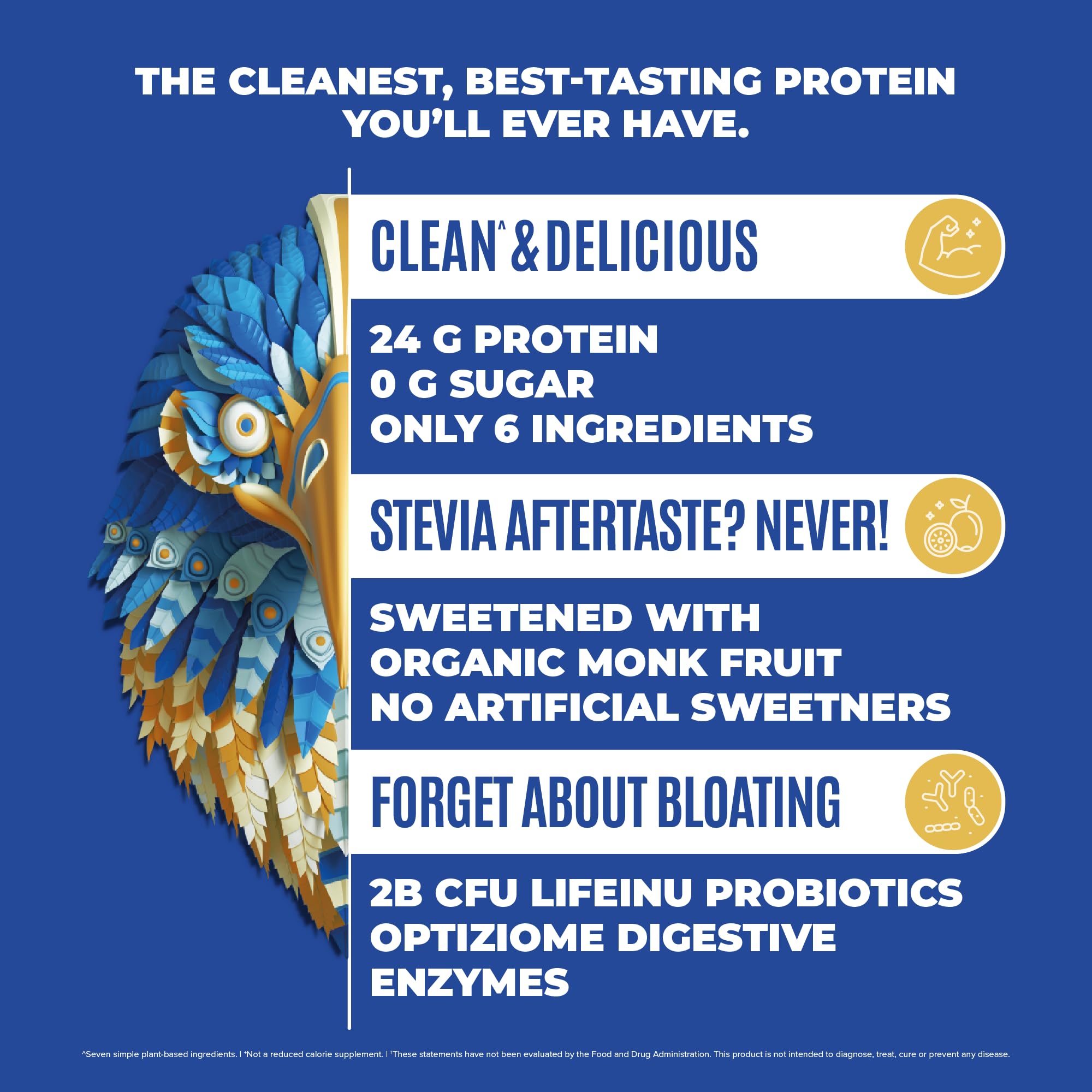 BIRDMAN Falcon Vegan Protein Powder Organic, Stevia & Sugar Free, Plant Based Protein BIRDMAN uk supplements
