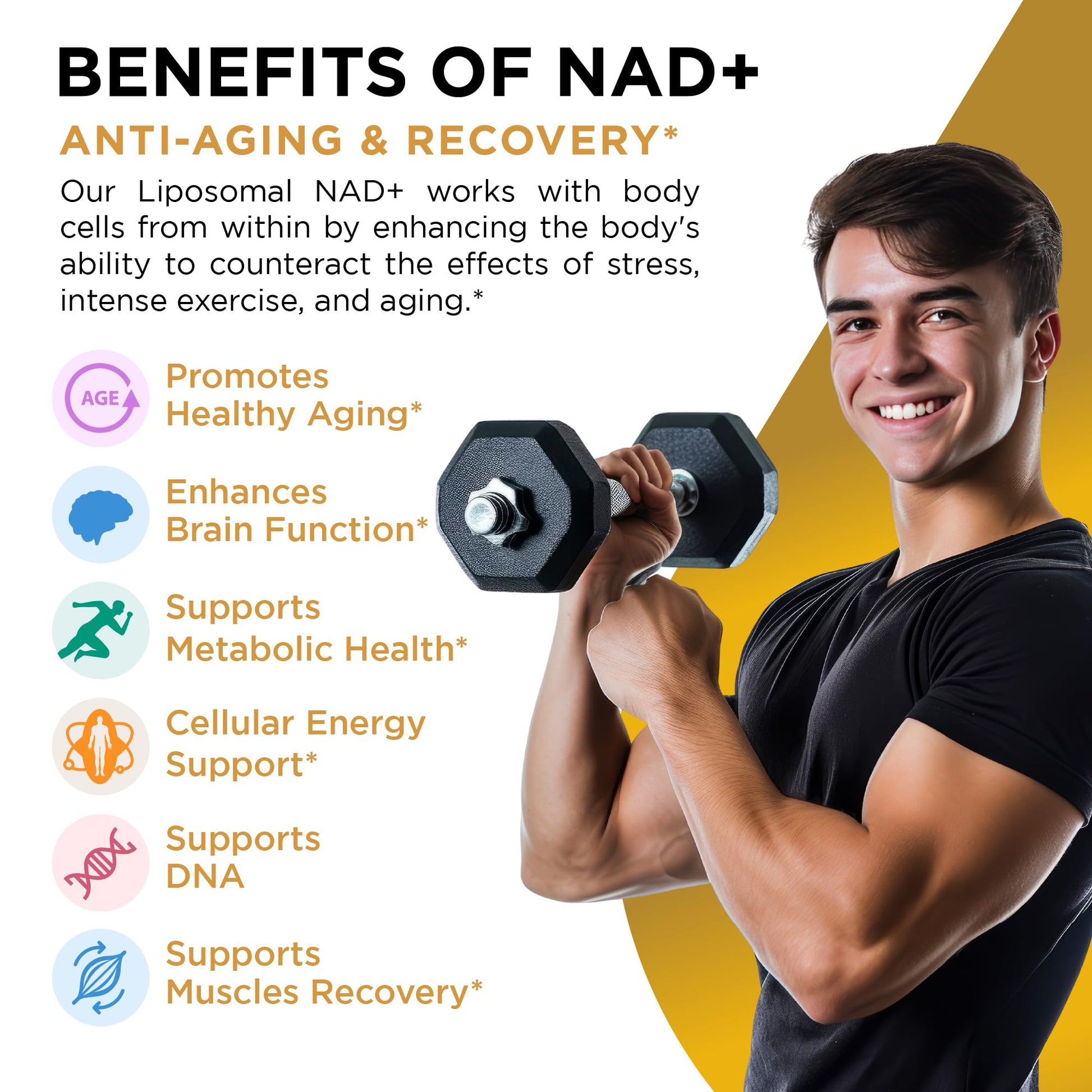 NAD+ Supplement Liposomal Capsules - Max Absorption for Cellular Energy, Healthy Aging, Brain Function & DNA Health - Vegan, Non-GMO, Gluten-Free Supplement - 60 Capsules - Supports NAD Levels AuroraSynth uk supplements