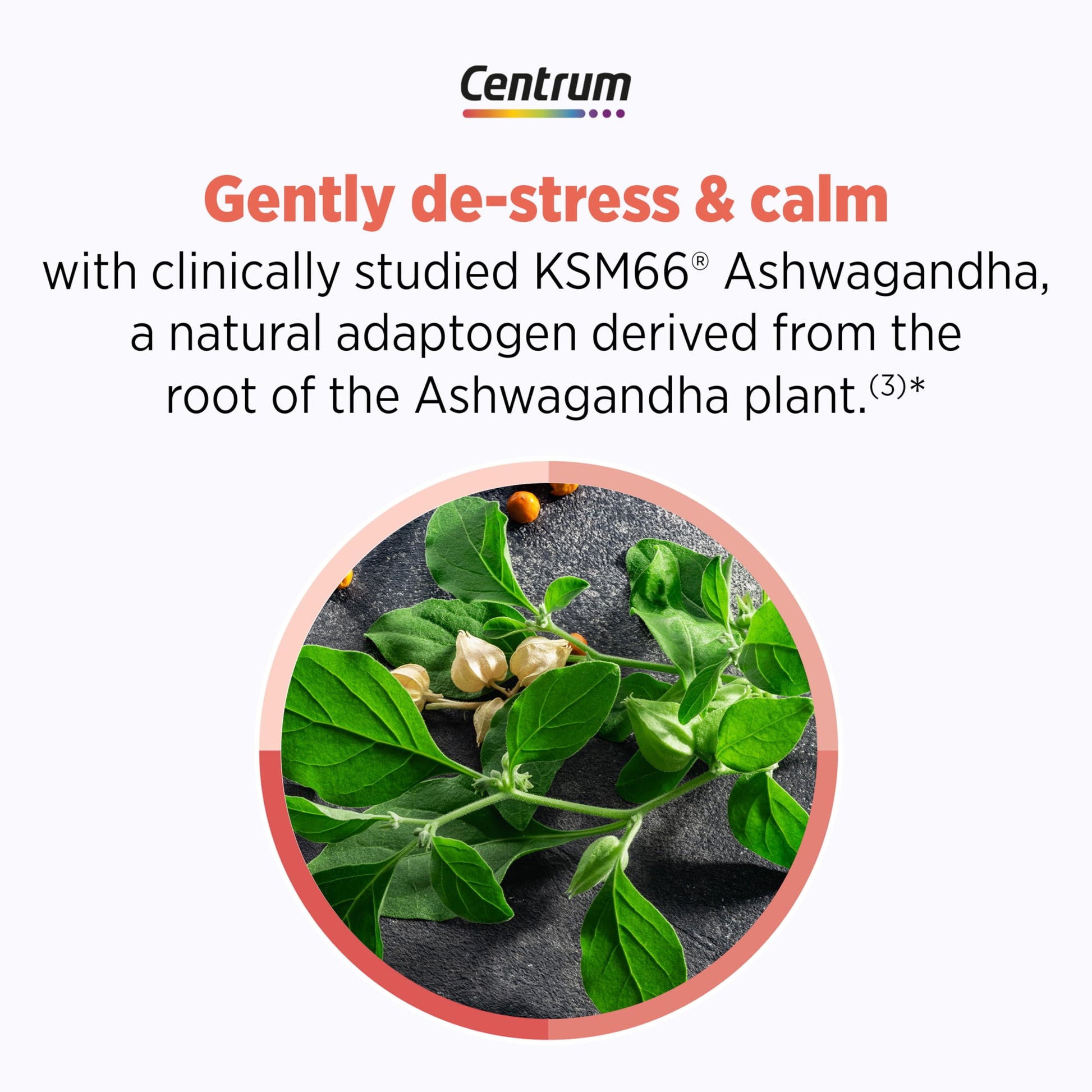 Centrum Clear Mind and Calm Mood Menopause Support Tablets, with Clinically Studied enXtra, 30 Count Centrum uk supplements