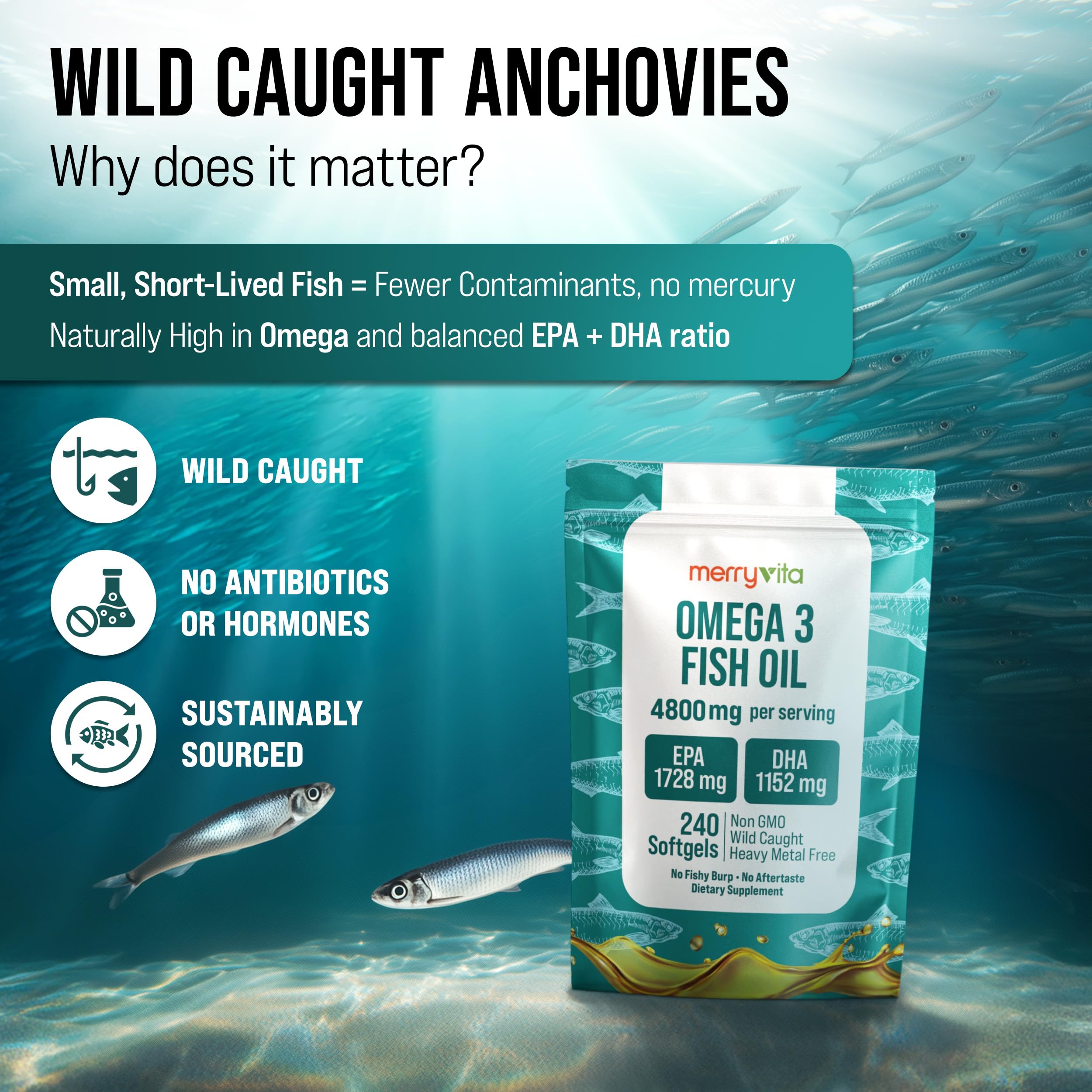 Omega 3 Fish Oil 4800 mg – EPA 1728 mg | DHA 1152 mg from Wild-Caught Anchovies – Burpless Mini Softgels – Pure Omega-3 Fatty Acid Supplement – Non-GMO, Gluten-Free, No Aftertaste – 240 Capsules MERRY VITA uk supplements