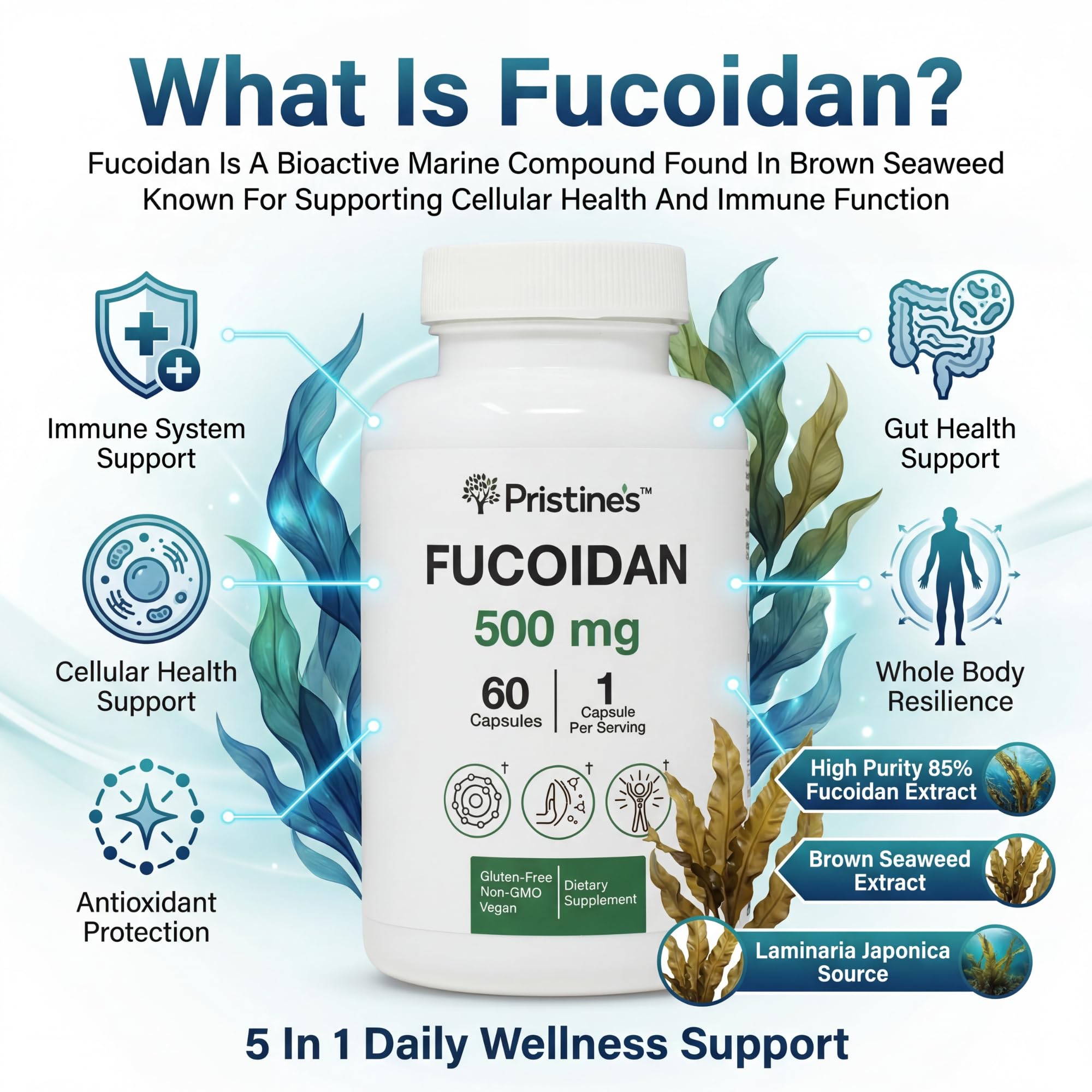 PRISTINE'S Fucoidan 500MG Immunity Supplement Capsules - 60 Day Supply - Brown Seaweed Extract - Potent Herbal Antioxidant Lung Health & Skin Health Support PRISTINE'S uk supplements