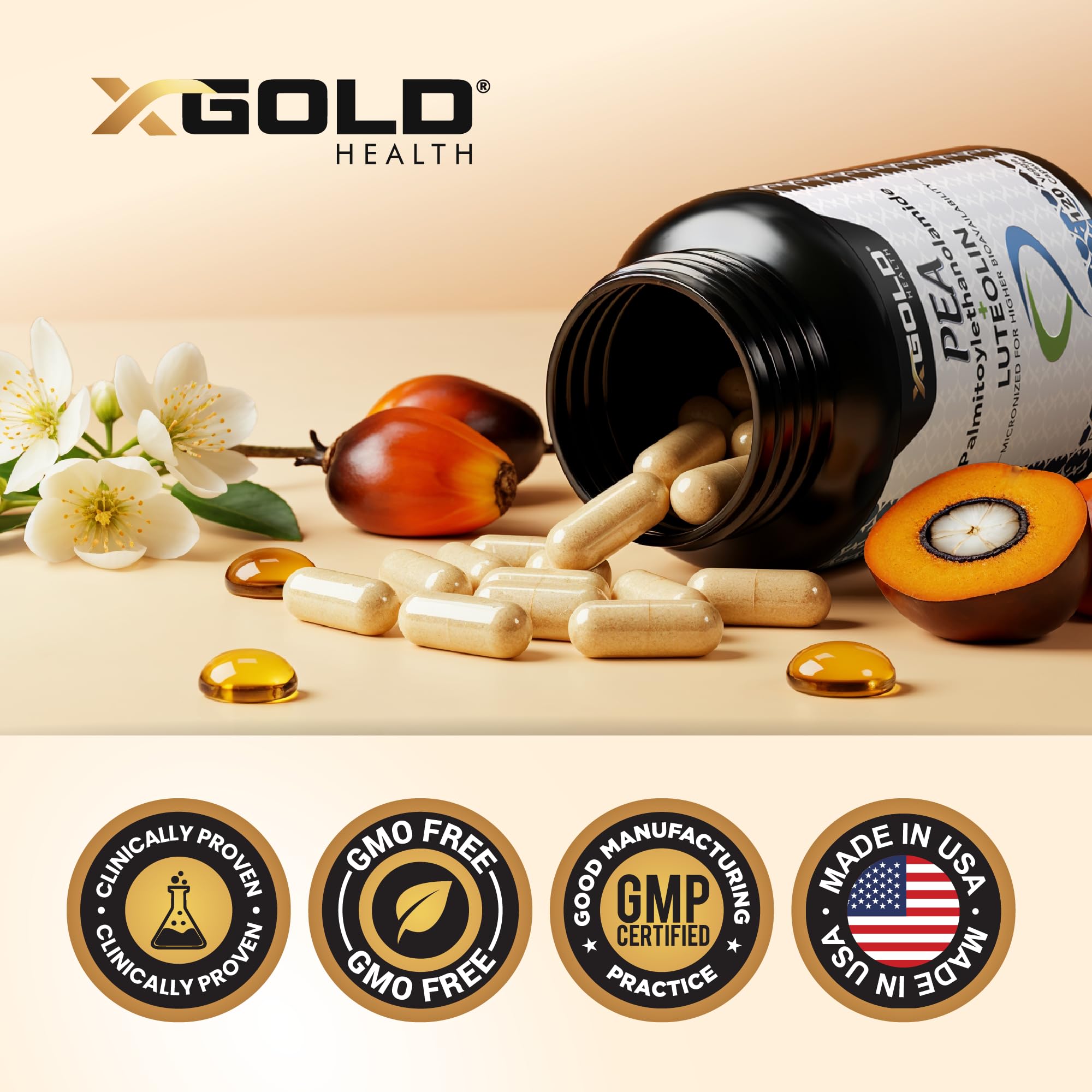 Palmitoylethanolamide 630 mg + Luteolin Standardized 98%- Micronized Pea 99% Highly Purified and Bioavailable - Made in USA - Supplement for Men and Women - 120 Veggie Capsules X Gold Health uk supplements