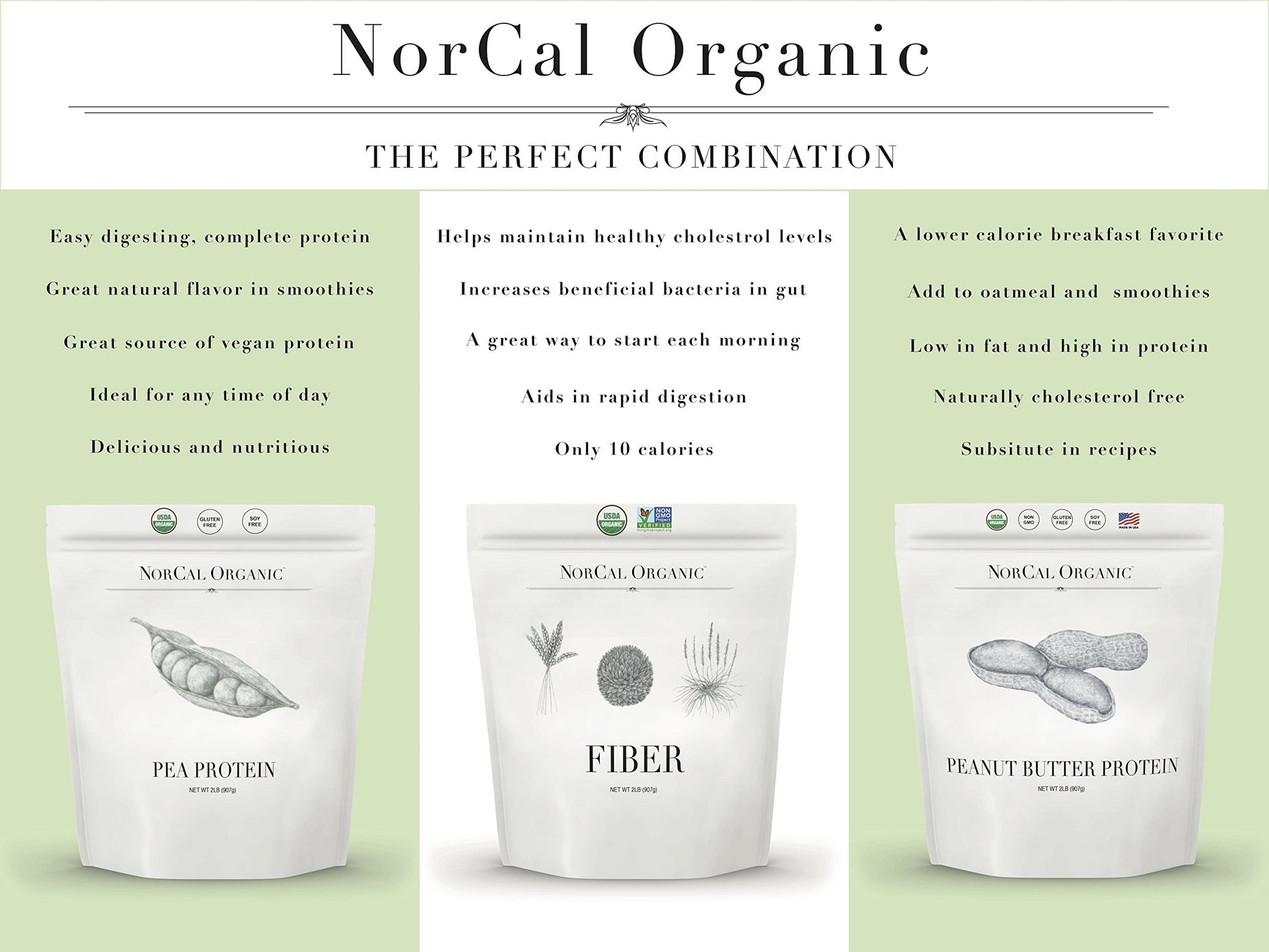 Norcal Organic Peanut Butter Protein Powder - 2lb | Vegan, Low-Cal, 11g Protein NorCal Organic uk supplements