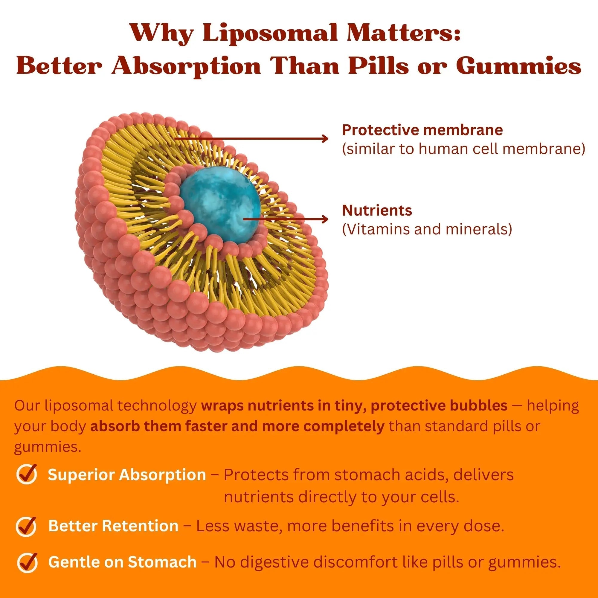 Vitaminally Women’s 50+ Liposomal Liquid Multivitamin – 16 Essential Vitamins & Minerals for Energy, Bone & Immune Support Vitaminally uk supplements