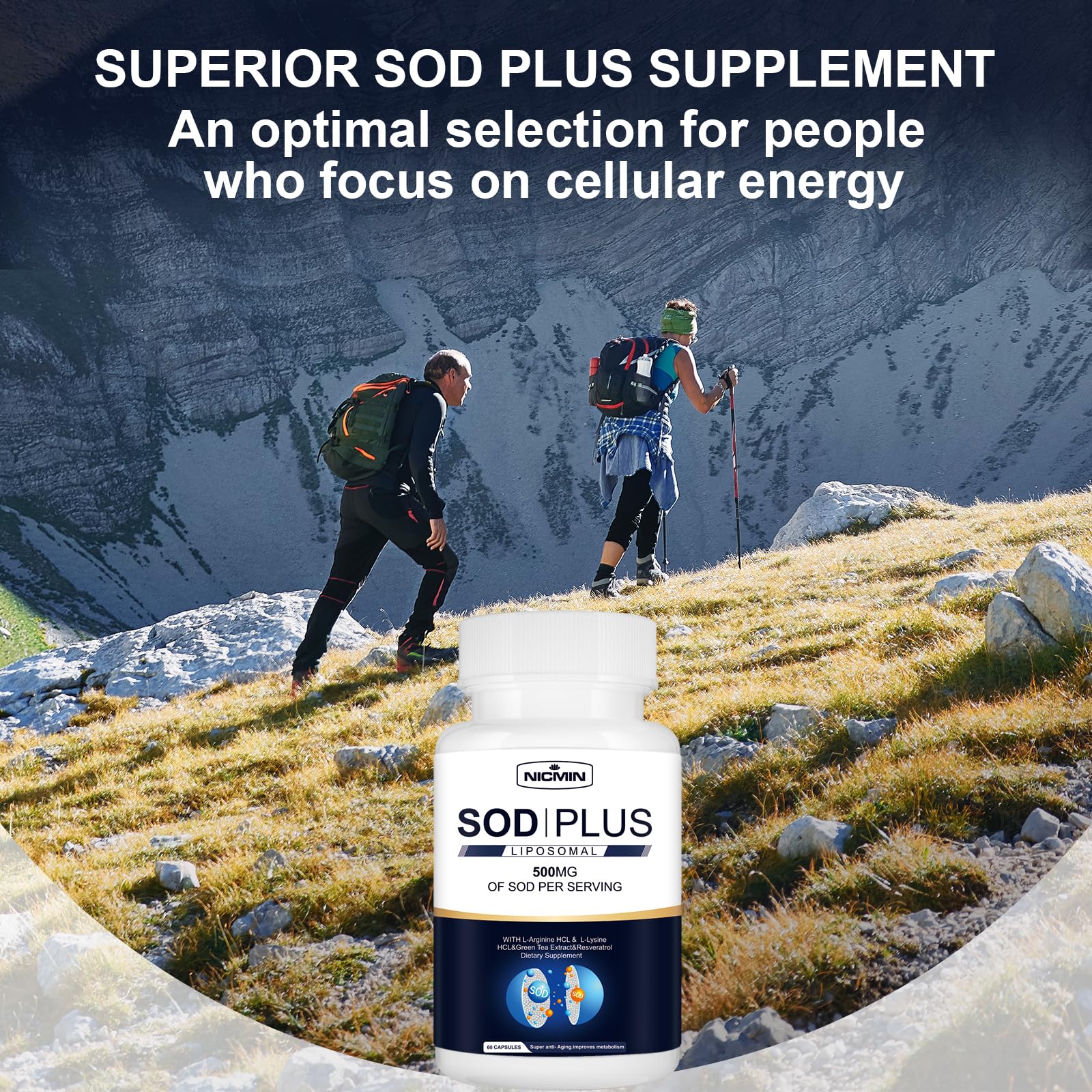 NICMIN 500MG Superoxide Dismutase Supplement - SOD Plus with Liposomal Glutathione, AKG, Green Tea Extract, L-Arginine, Lysine, Resveratrol and Vitamin E for Immune Support, Antioxidant 120 Capsules NICMIN uk supplements