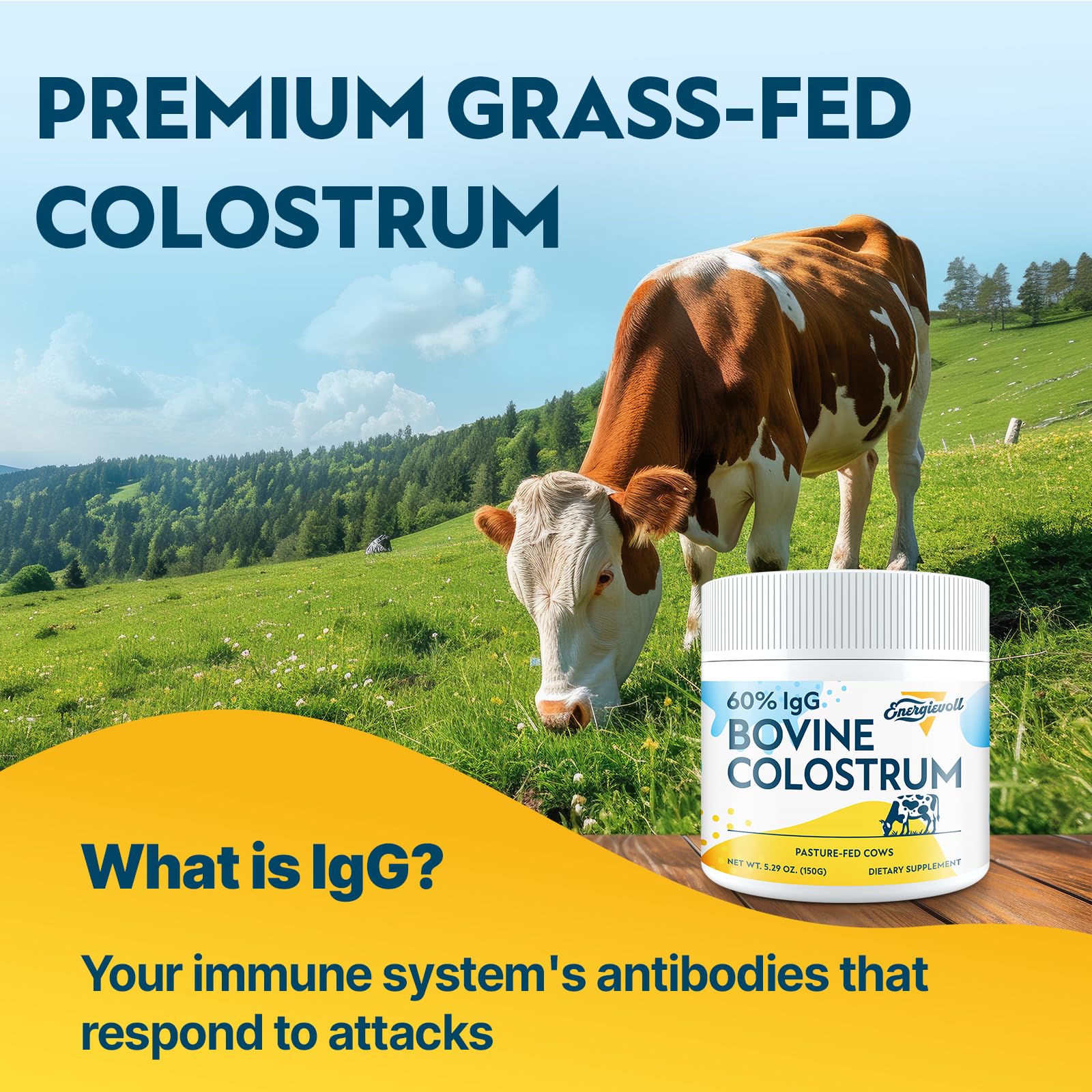 Energievoll Bovine Colostrum Supplement Powder - 60% IgG 3000 mg for Gut, Hair Growth, Beauty, and Immune, Easy to Mix, Unflavored (50 Servings) Energievoll uk supplements