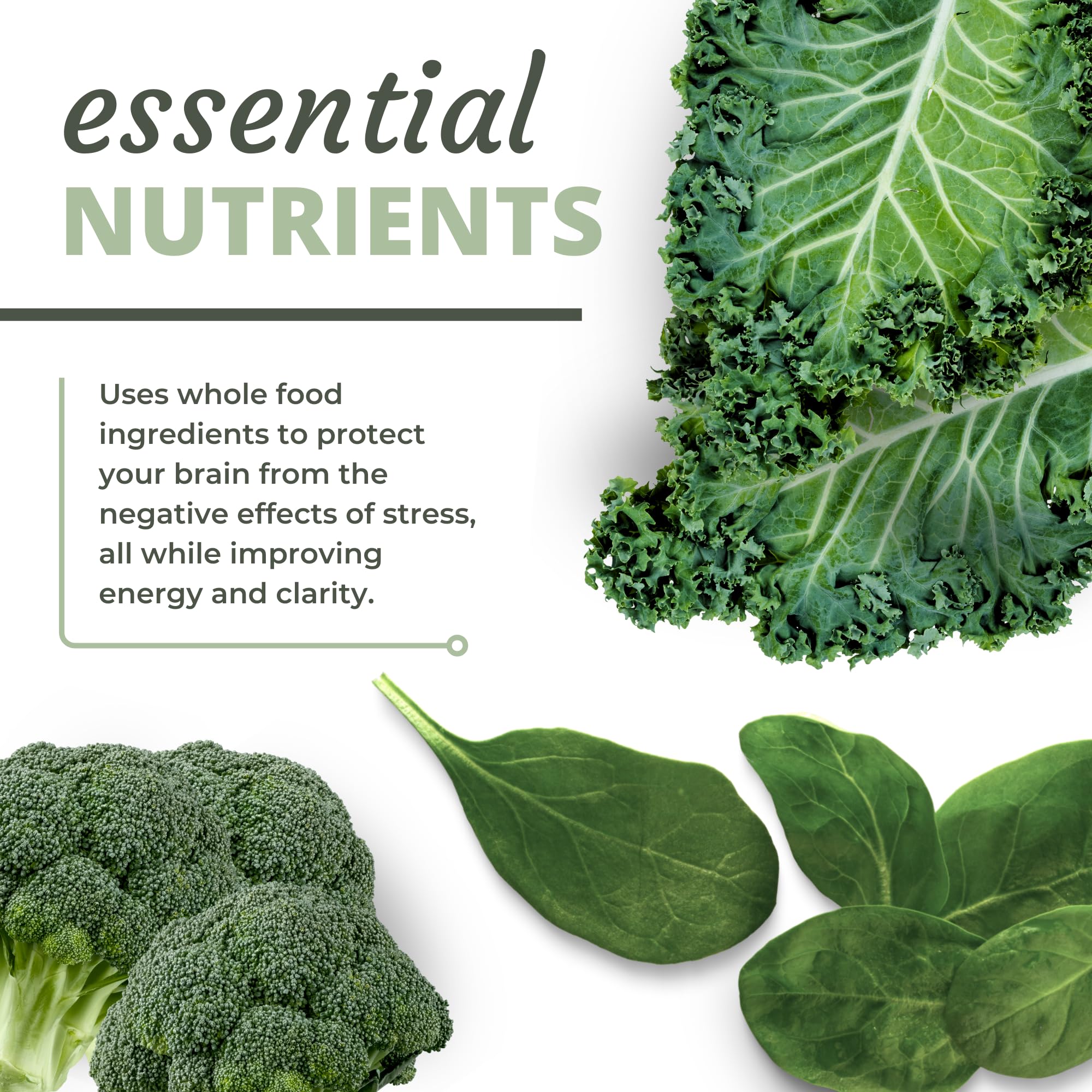 Optimal Health Systems NADH + DIM | Dr. Harris Essentials | Energy + Neurotransmitter Support | Plant-Based | Mental Clarity, Concentration, & Memory Supplement | 30 Capsules Optimal Health Systems uk supplements