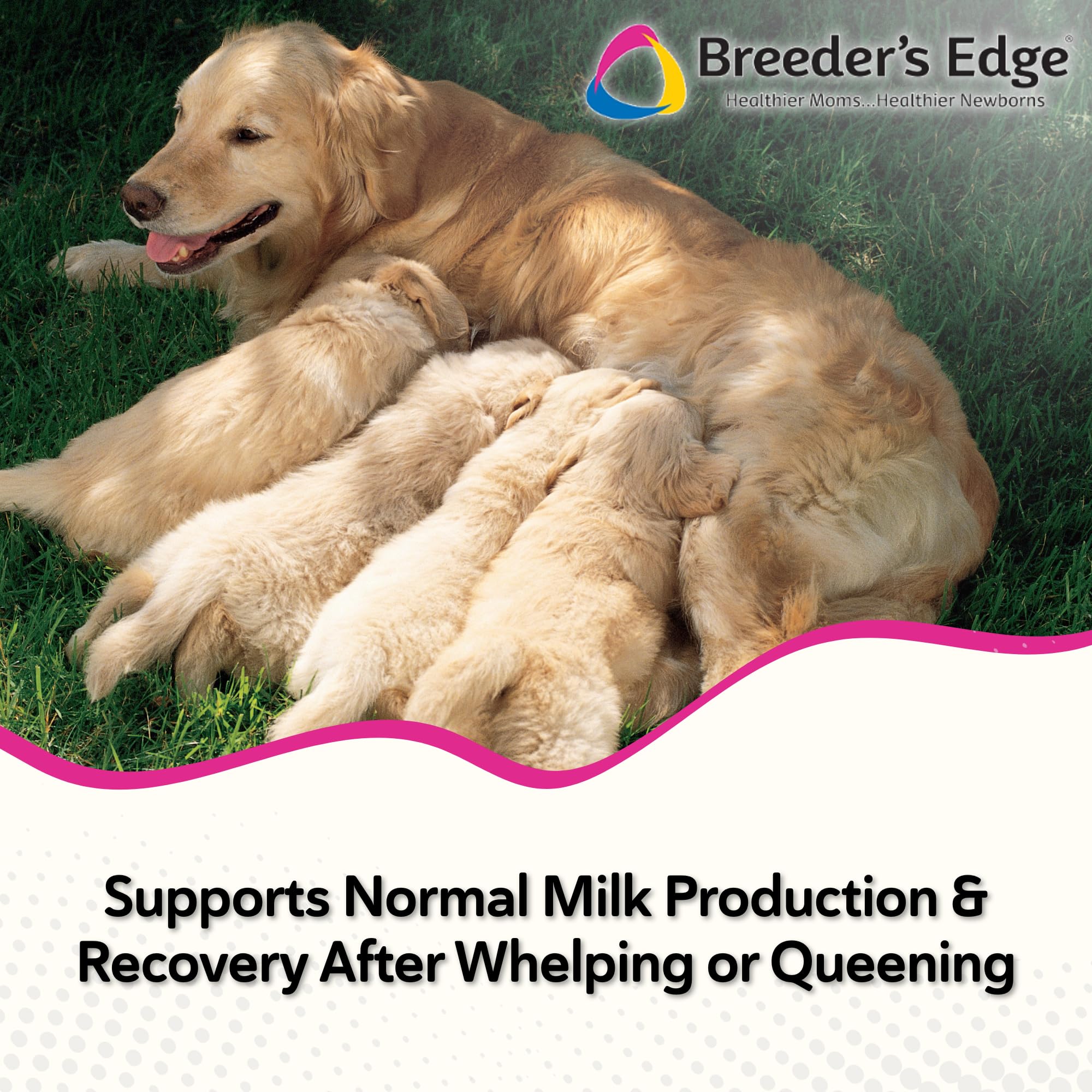 Breeder's Edge Oxy Momma Soft Chews, Postnatal Vitamin Supplement for Lactating Dogs and Cats, Supports Recovery, Hormones, and Next Pregnancy - for Small Dogs & Cats, 40ct Soft Chews Revival Animal Health uk supplements
