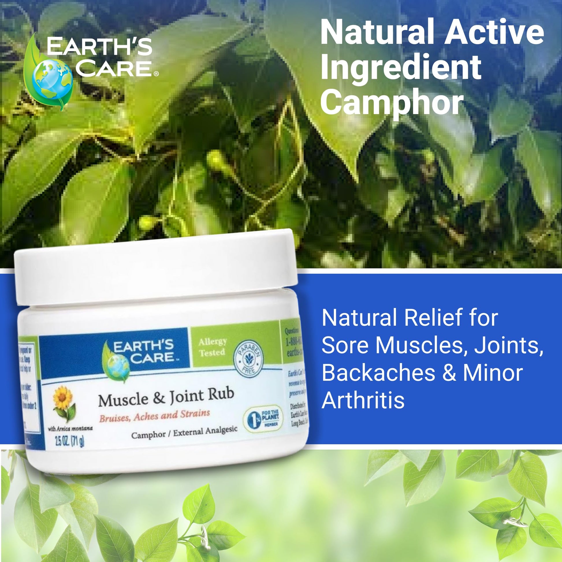 Earth's Care Muscle & Joint Rub - for Sore Muscles, Bruises, Aches and Strains - 2.5 OZ. Earth's Care uk supplements