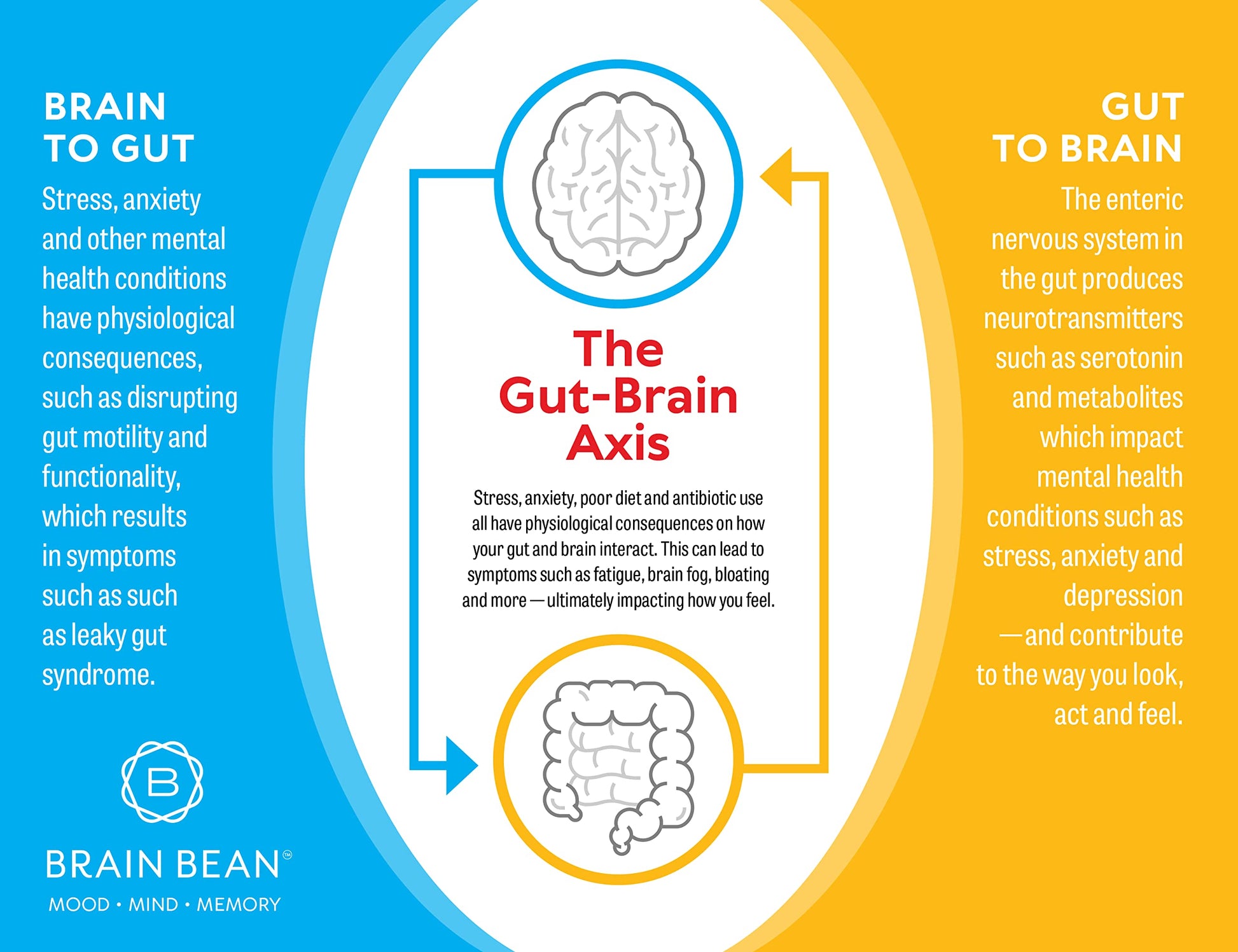 Brain Basics Ultra Pure IgG Supplement - Dairy-Free Supplement IgG-Immunolin Powder, Blended Vitamin & Mineral Supplements, 150g, 60 Servings Brain Bean uk supplements