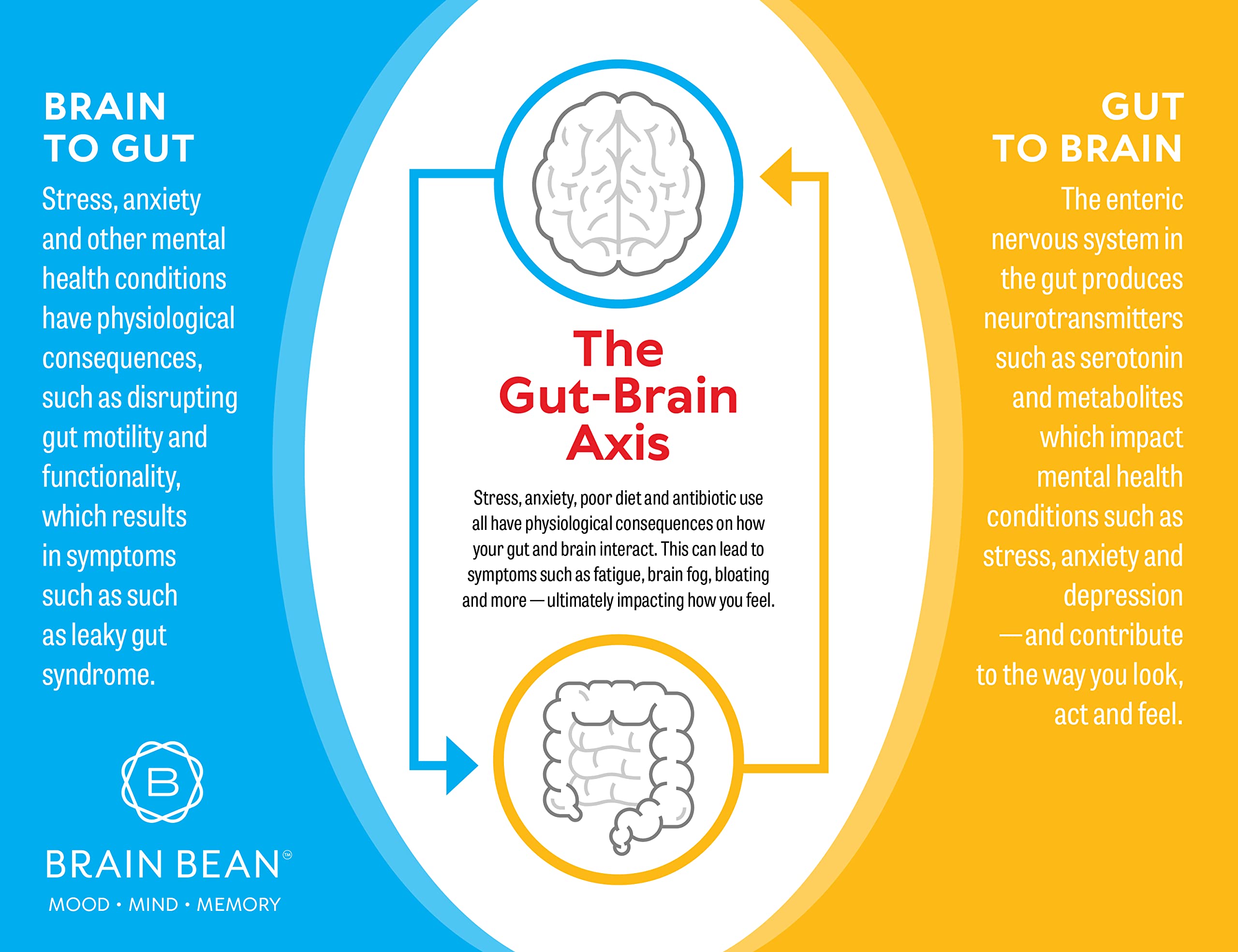 Brain Basics Ultra Pure IgG Supplement - Dairy-Free Supplement IgG-Immunolin Powder, Blended Vitamin & Mineral Supplements, 150g, 60 Servings Brain Bean uk supplements