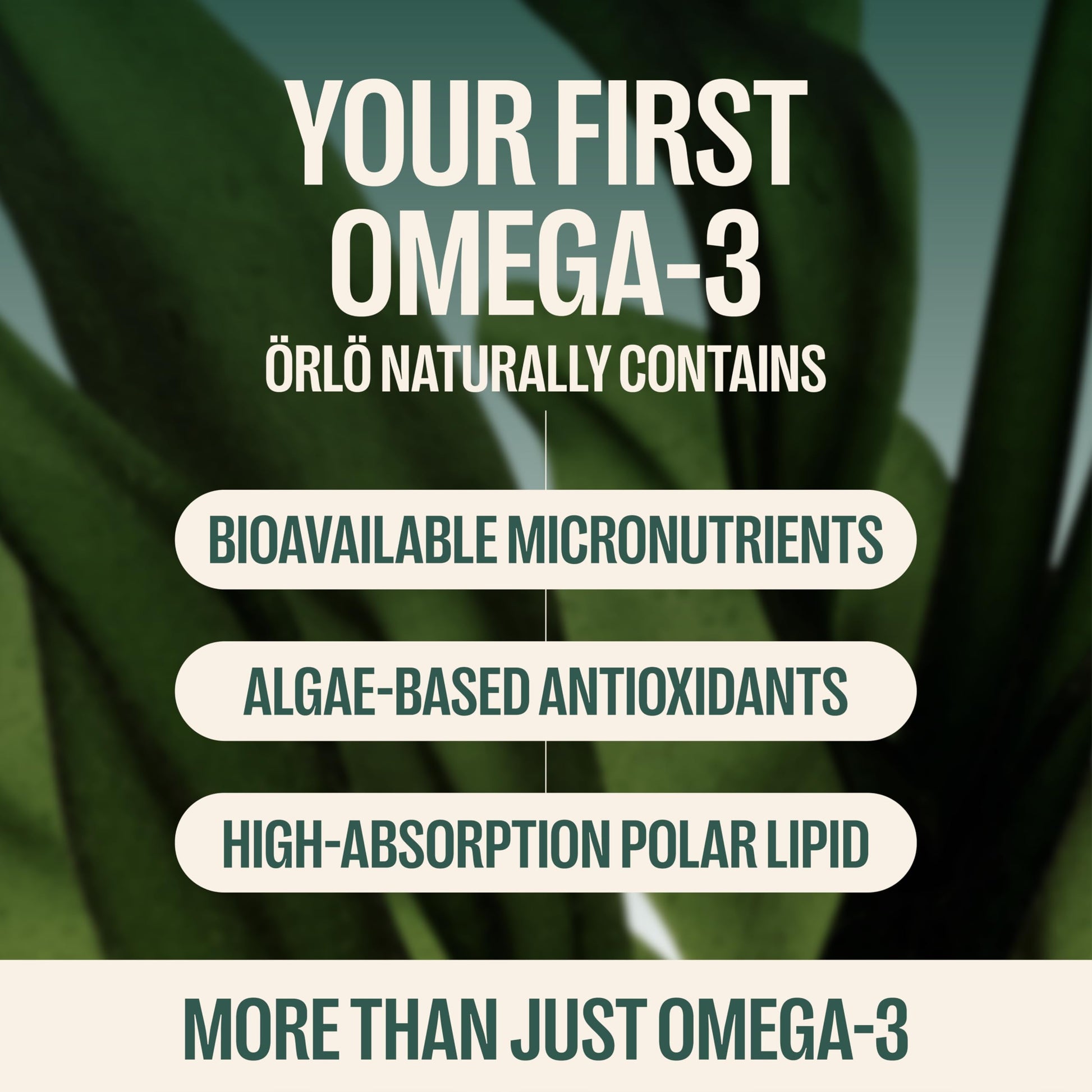 Orlo DHA Supplement 1000mg - 3X Absorption Natural Icelandic Nordic Omega 3 DHA & EPA for Brain & Eye Support – Vegan Fish Oil Alternative, No Fishy Aftertaste, 60 Easy-to-Swallow Mini Softgels Orlo uk supplements
