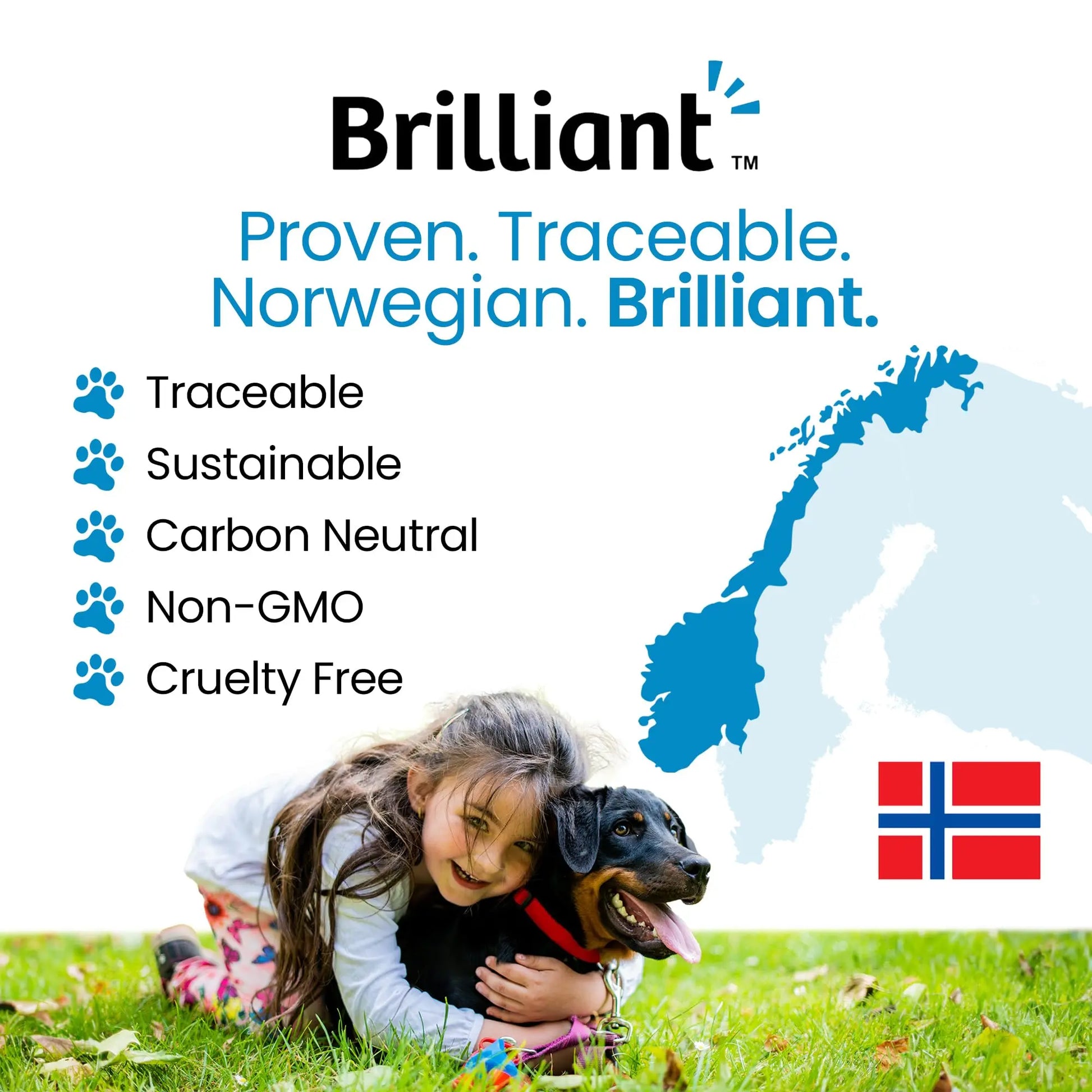 Hofseth BioCare Brilliant Bone & Joint Supplement for Dogs - High Strength Calcium & Collagen Powder for Joint & Hip Support, Essential Supplement for Dog’s of All Ages - 10.6 Oz Hofseth BioCare uk supplements