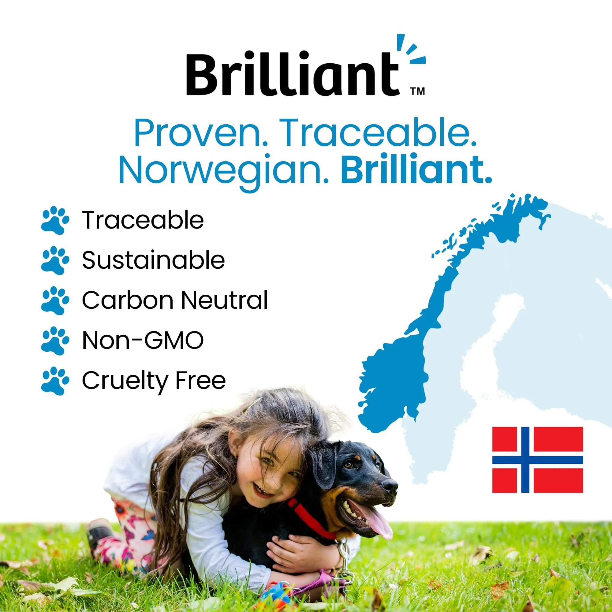 Hofseth BioCare Brilliant Bone & Joint Supplement for Dogs - High Strength Calcium & Collagen Powder for Joint & Hip Support, Essential Supplement for Dog’s of All Ages - 10.6 Oz Hofseth BioCare uk supplements