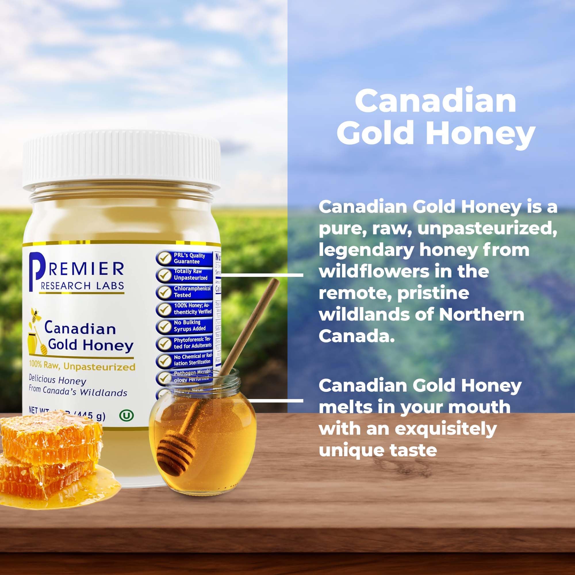 Premier Research Labs Canadian Gold Honey - Raw Honey, Pure Honey, Raw Unpasteurized Honey, Unfiltered, 100% Pure, Sugar-Free, Unprocessed Wildflower Honey - 1 lb Jar Premier Research Labs uk supplements