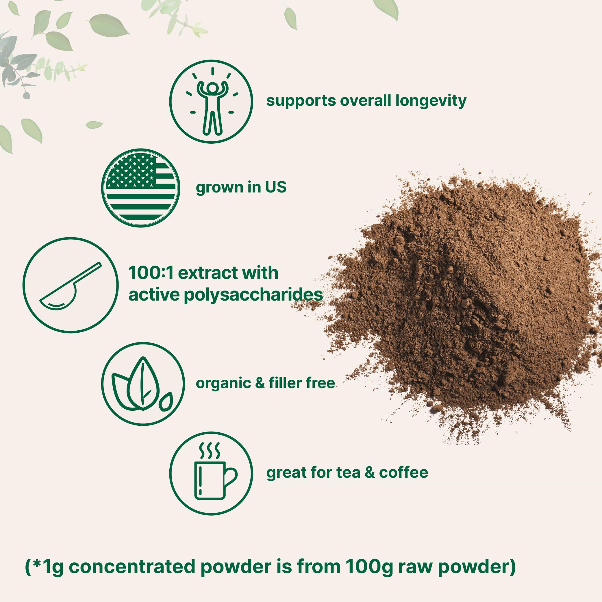 Micro Ingredients Sustainably US Grown, Organic Reishi Mushroom Powder, 8 Ounce Micro Ingredients uk supplements