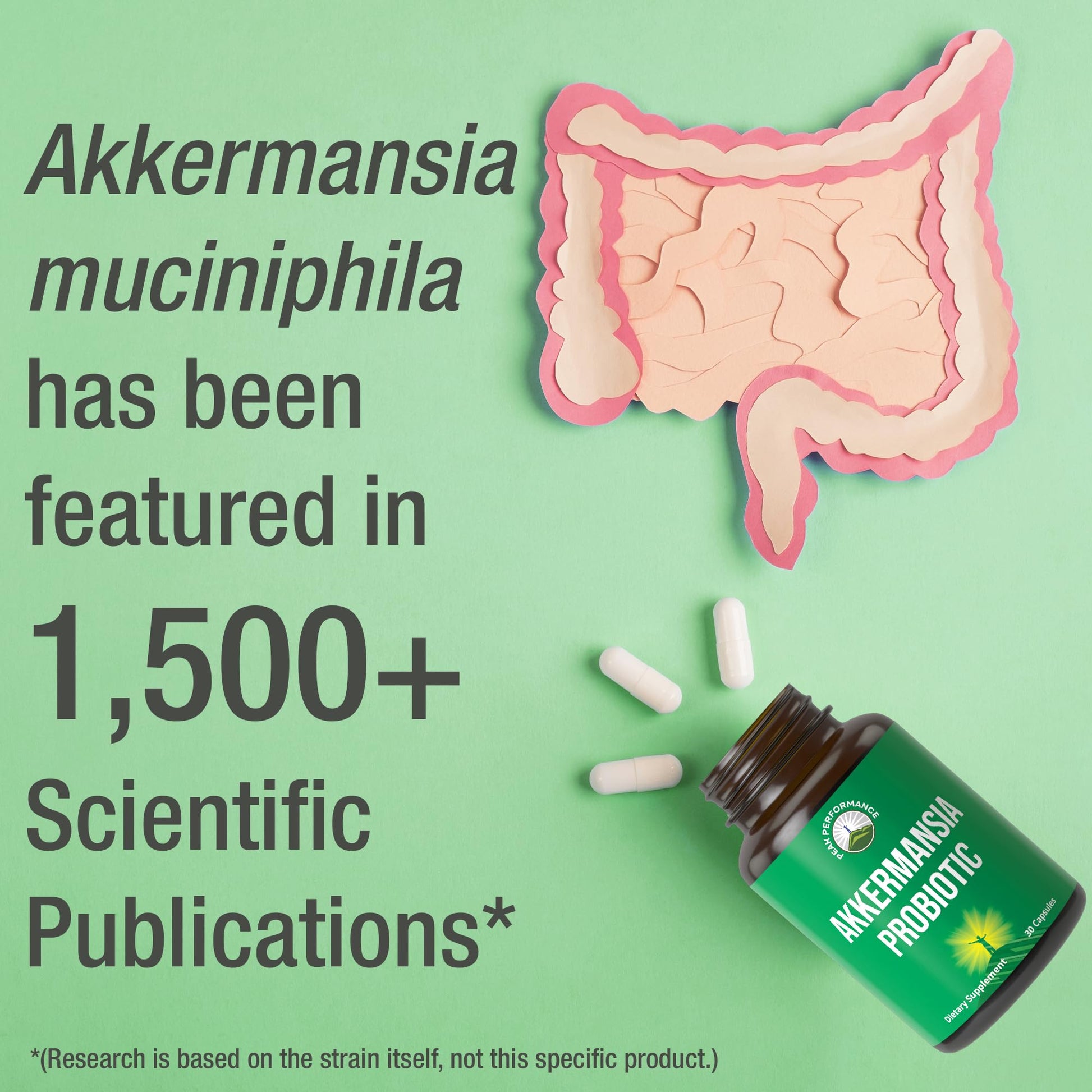 Akkermansia Probiotic to Increase GLP-1 Production. Ultra High Strength Akkermansia Muciniphila Live Strain with Prebiotic Fiber for Gut Health & Microbiome Balance. Delayed Release, 3rd Party Tested Peak Performance uk supplements