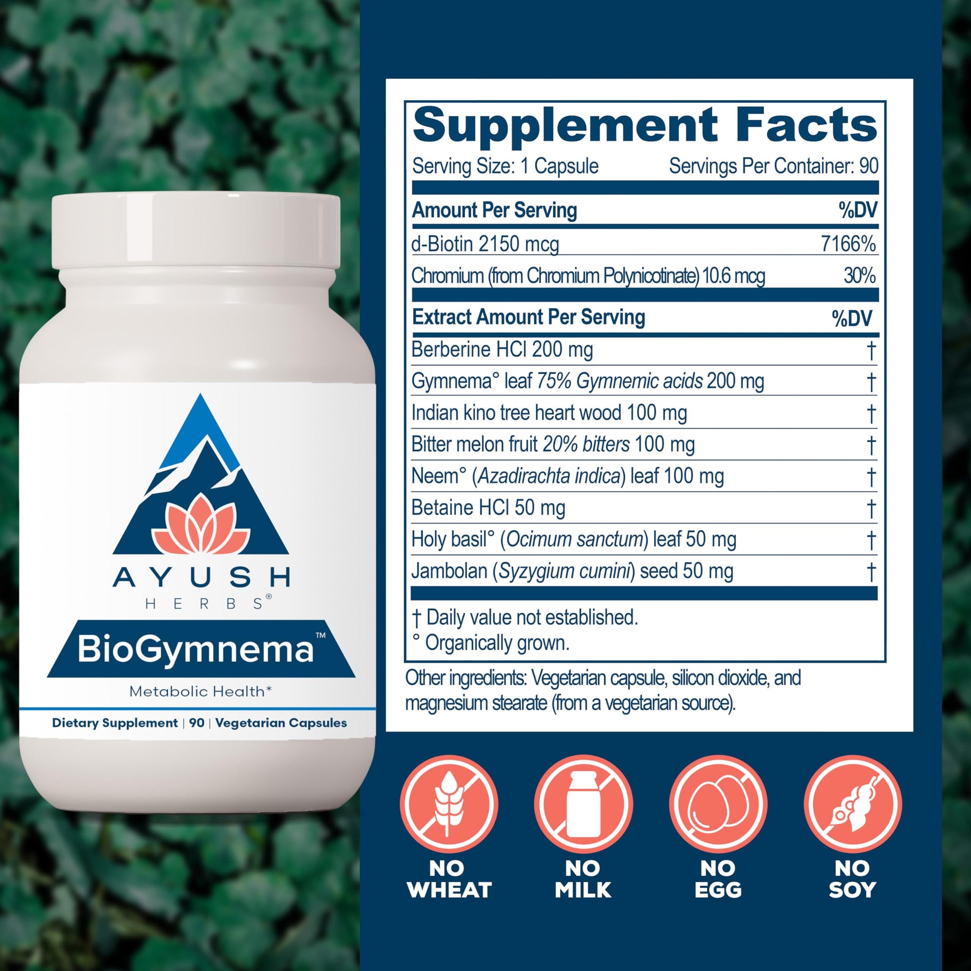 Ayush Herbs BioGymnema - Metabolic Vitamin & Herb Blend, Metabolic Health Supplement for Women & Men with Biotin, Berberine, Bitter Melon & Gymnema, Nutrient Support - 90 Servings Ayush Herbs uk supplements