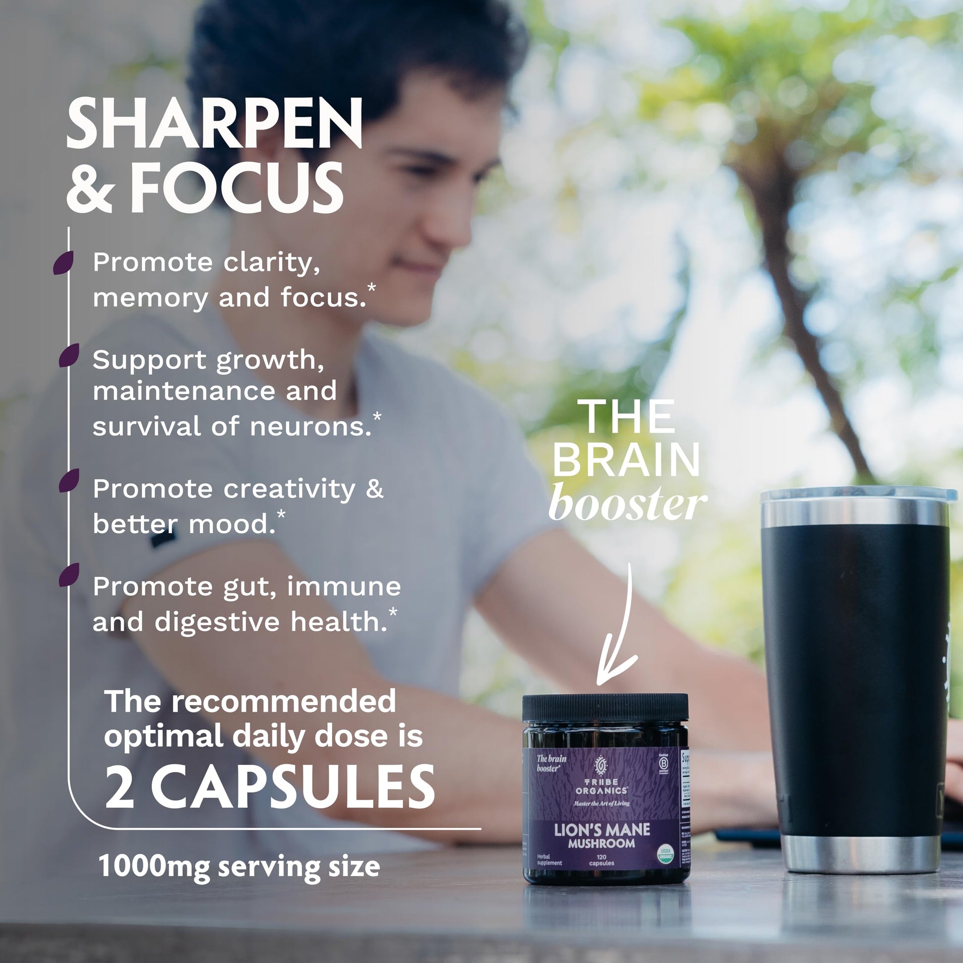 TRIBE ORGANICS Lion’s Mane Supplement 1000mg Mushroom Extract Powder - Immune System Booster & Brain Nootropic for Focus and Memory | Mental Clarity | Natural Energy and Immunity - 120 Vegan Capsules TRIBE ORGANICS uk supplements