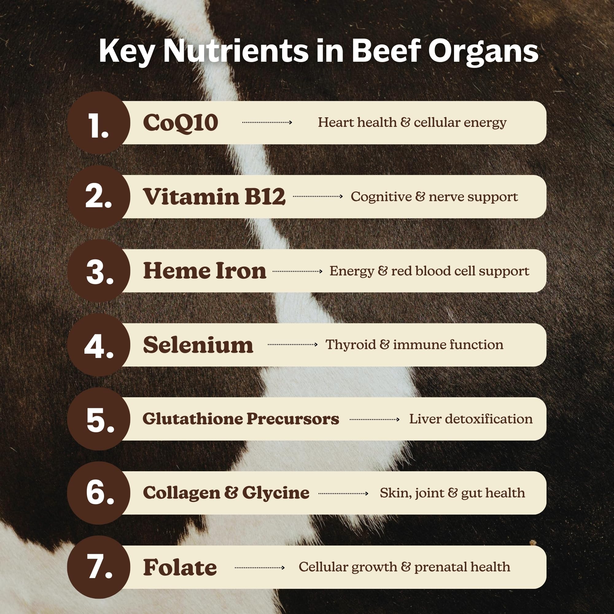 MK Supplements Grass-Fed Beef Organs Capsules | 5 Organs in Nature-Identical Ratios | B12, Copper & Heme Iron | Regeneratively Raised | 150 Capsules MK Supplements uk supplements