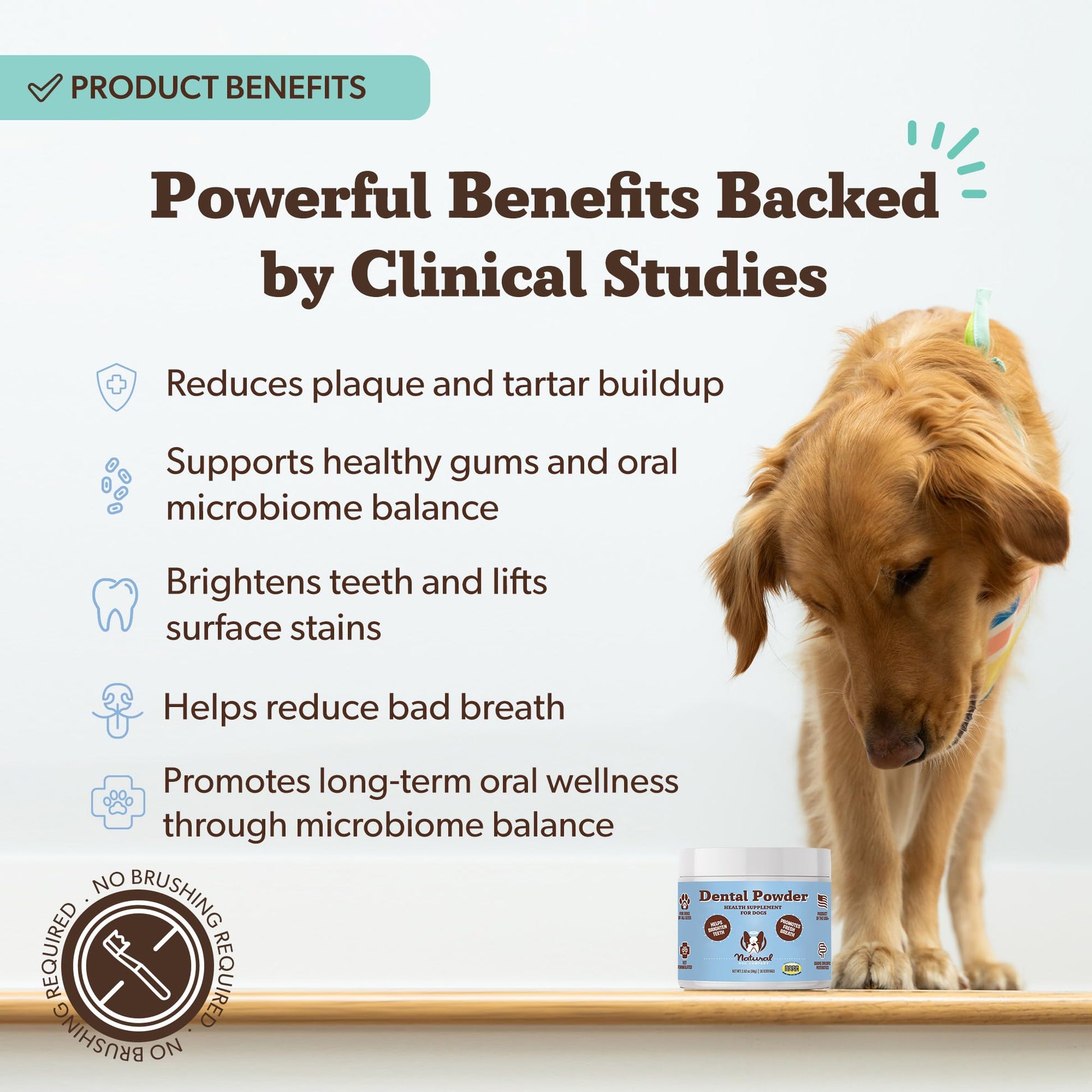 Natural Dog Company Dental Powder for Dogs – Freshens Breath & Helps Reduce Plaque & Tartar, Natural No-Brushing Canine Oral Health Postbiotic Supplement, Vet Formulated, Made in USA, 30-Day Supply Natural Dog Company uk supplements