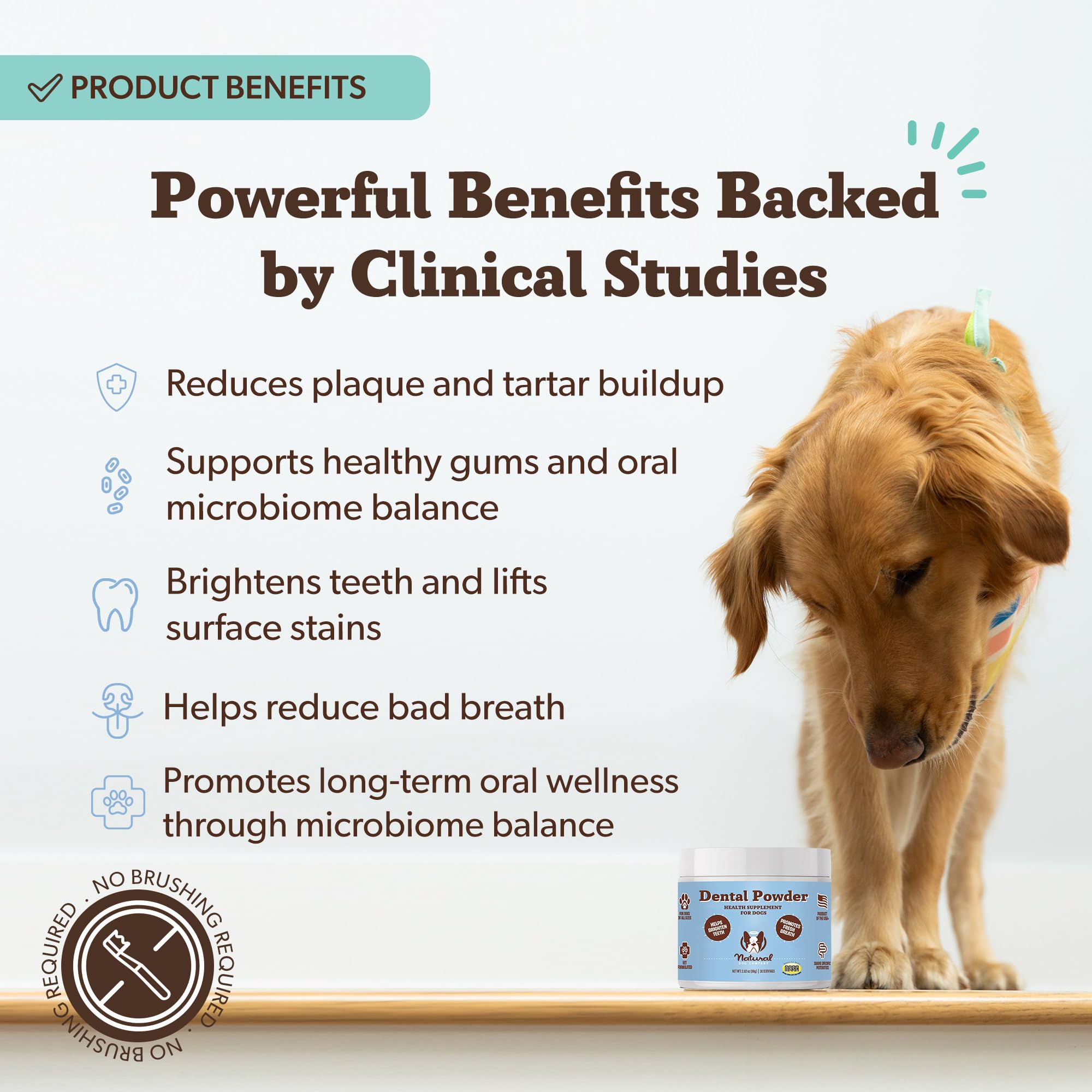 Natural Dog Company Dental Powder for Dogs – Freshens Breath & Helps Reduce Plaque & Tartar, Natural No-Brushing Canine Oral Health Postbiotic Supplement, Vet Formulated, Made in USA, 30-Day Supply Natural Dog Company uk supplements