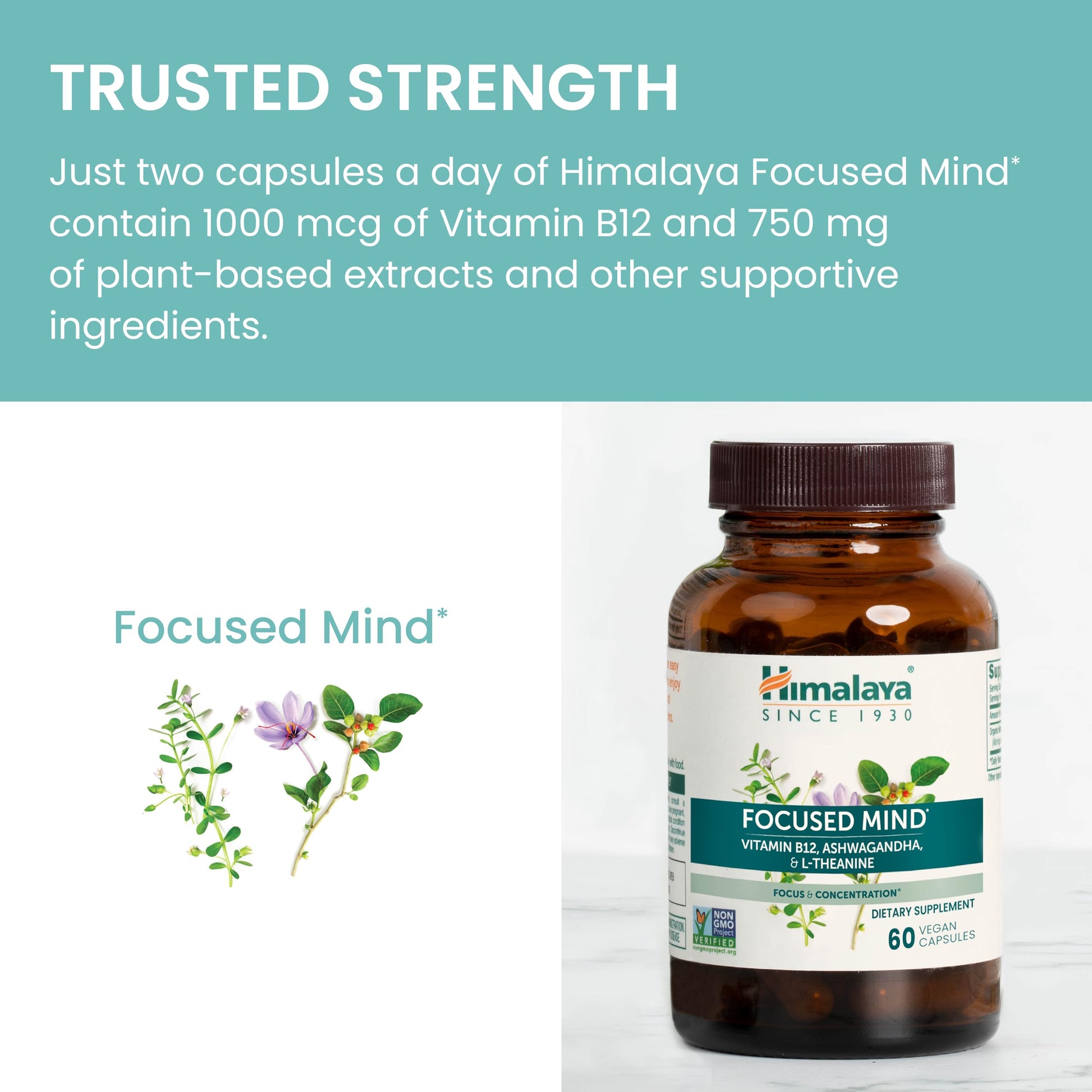 Himalaya Focused Mind Supplement, with Ashwagandha, Bacopa & L-Theanine for Attention, Focus and Energy Support, 60 Vegan Capsules, Gluten Free, 1 Month Supply Himalaya uk supplements