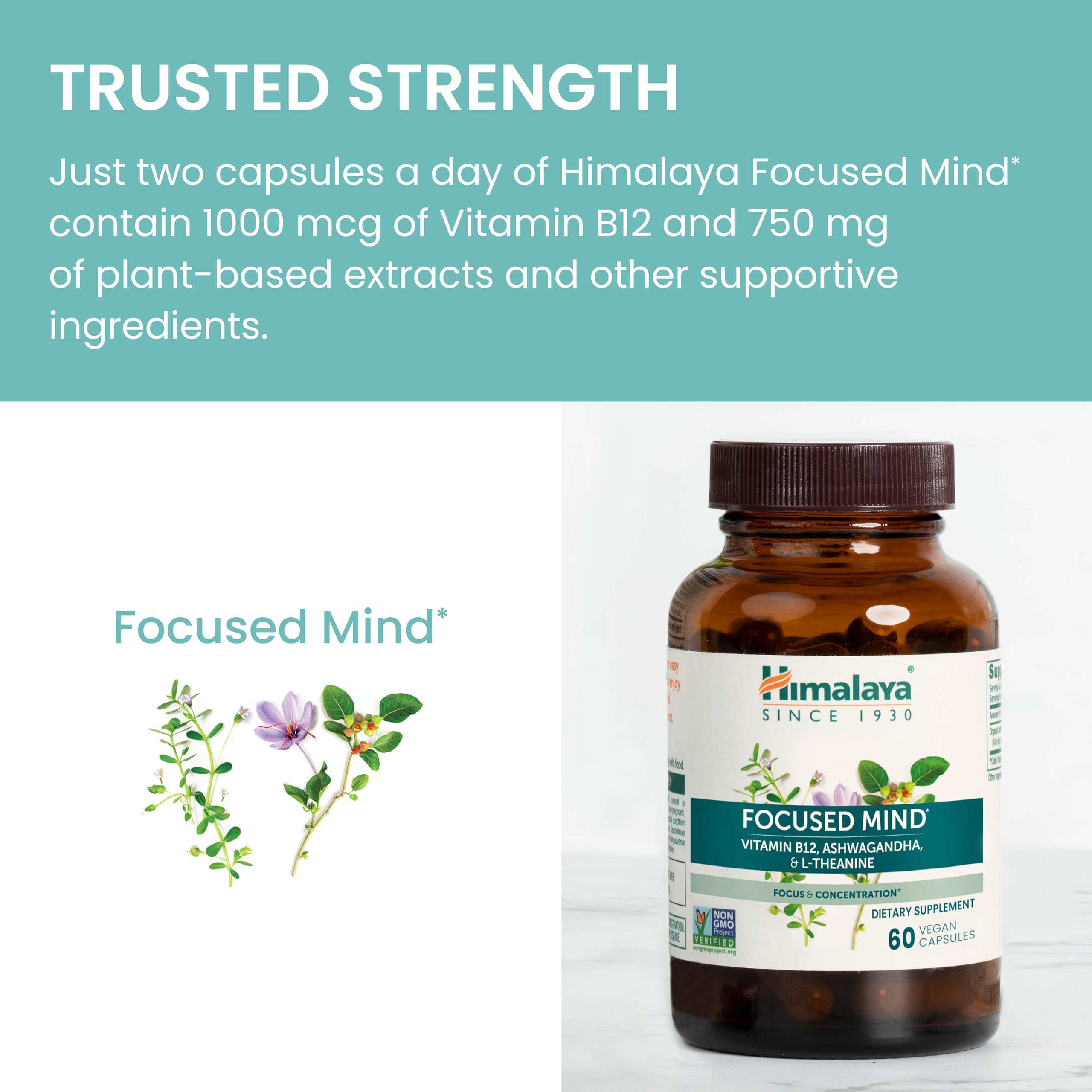 Himalaya Focused Mind Supplement, with Ashwagandha, Bacopa & L-Theanine for Attention, Focus and Energy Support, 60 Vegan Capsules, Gluten Free, 1 Month Supply Himalaya uk supplements
