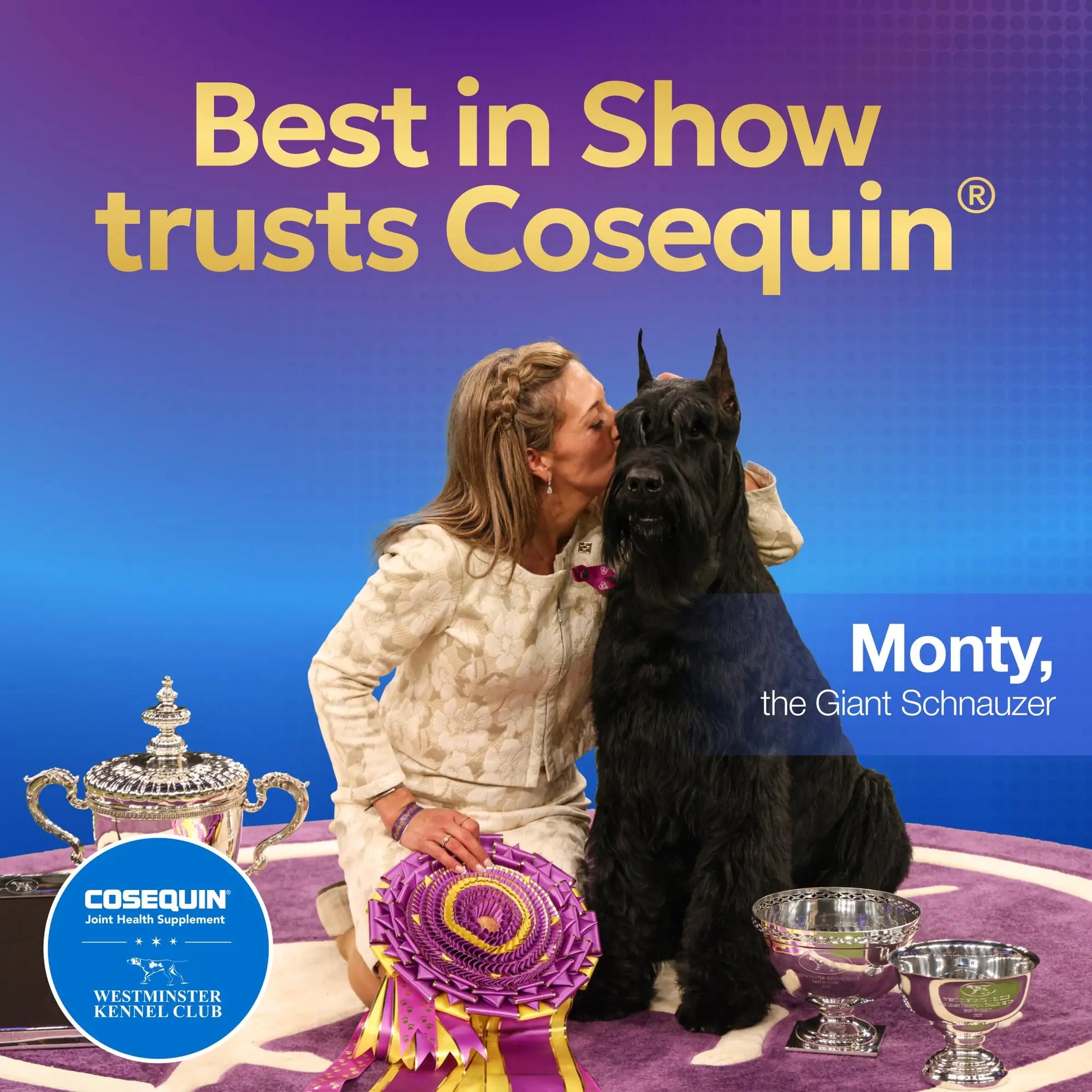 Nutramax Laboratories Cosequin Maximum Strength Joint Health Supplement for Dogs - With Glucosamine, Chondroitin, and MSM, 2 Pack, 264 Total Chewable Tablets Nutramax Laboratories uk supplements
