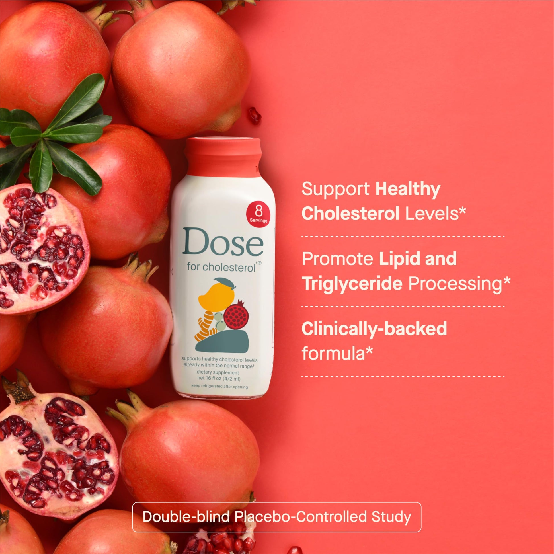 DOSE for Cholesterol Supplements Maintain Healthy Cholesterol Levels and Supports Cardiovascular Health Gluten-Free Vegan Zero Sugar, 16oz Bottle, 3 Pack (3 Week Supply) DOSE uk supplements