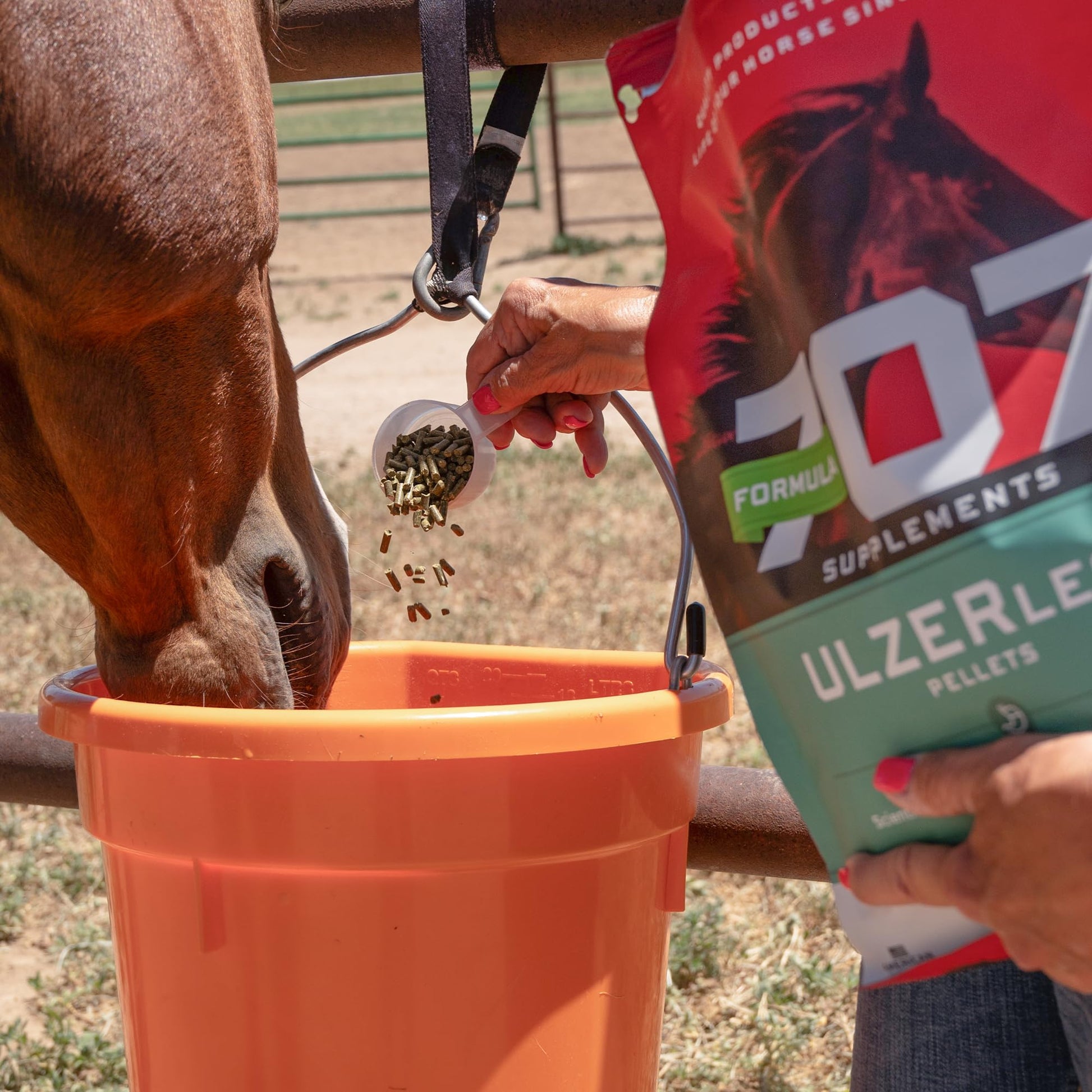 Formula 707 ULZERless Equine Supplement, 7.5lb Bag - Natural Gut Support for Horses with Ulcer Risk Factors Formula 707 uk supplements