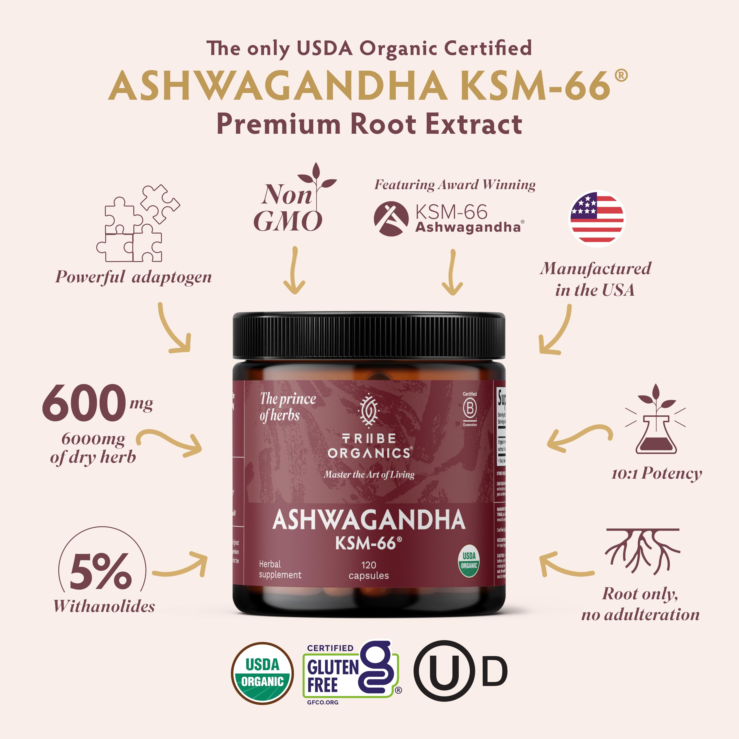 TRIBE ORGANICS Ashwagandha KSM 66 Pure Organic Root Powder Extract Ayurvedic Supplement - Focus, Mood Support, Increase Energy, Strength, 600mg of Natural KSM66 for Superior Absorption - 120 Capsules TRIBE ORGANICS uk supplements
