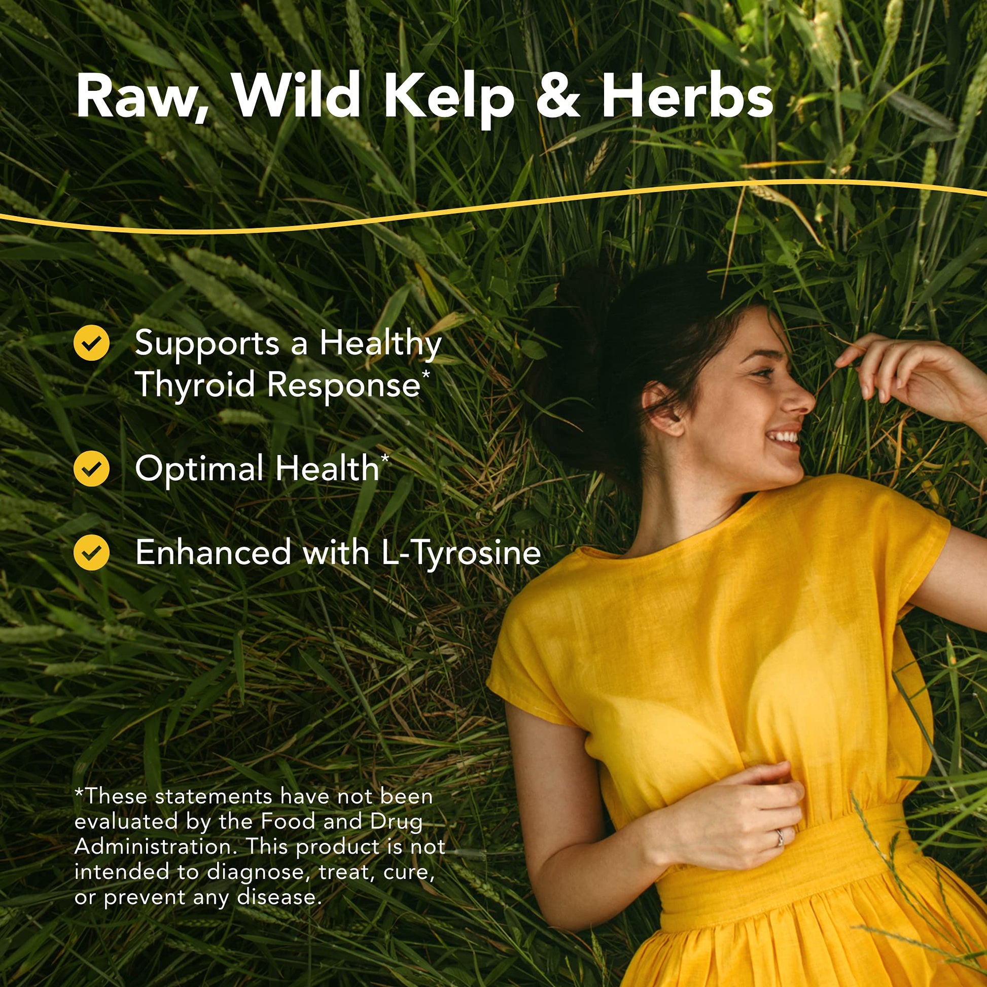 NORTH AMERICAN HERB & SPICE Thyroset - 90 Capsules - Wild Kelp & Herbs Blend - Healthy Thyroid Support - Contains Trace Minerals, Natural Iodine, Antioxidants & Amino Acids - 45 Servings NORTH AMERICAN HERB & SPICE uk supplements