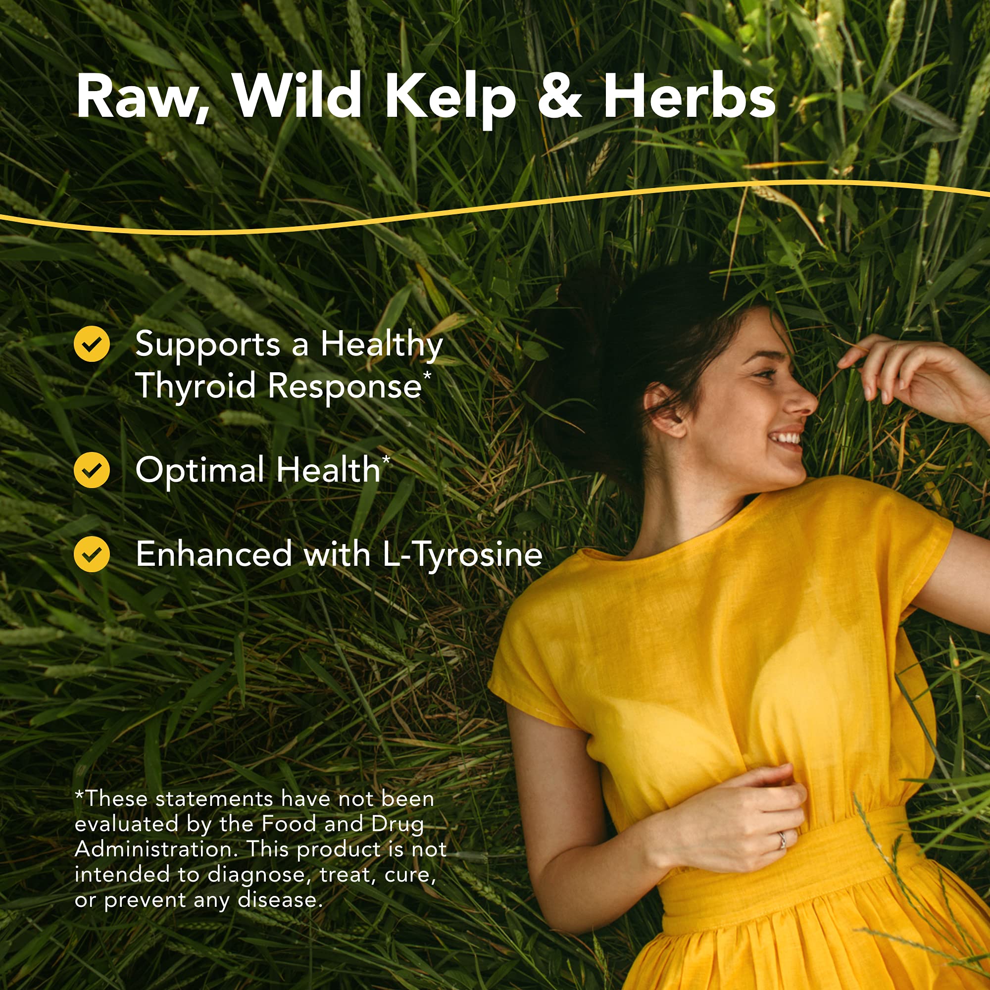 NORTH AMERICAN HERB & SPICE Thyroset - 90 Capsules - Wild Kelp & Herbs Blend - Healthy Thyroid Support - Contains Trace Minerals, Natural Iodine, Antioxidants & Amino Acids - 45 Servings NORTH AMERICAN HERB & SPICE uk supplements