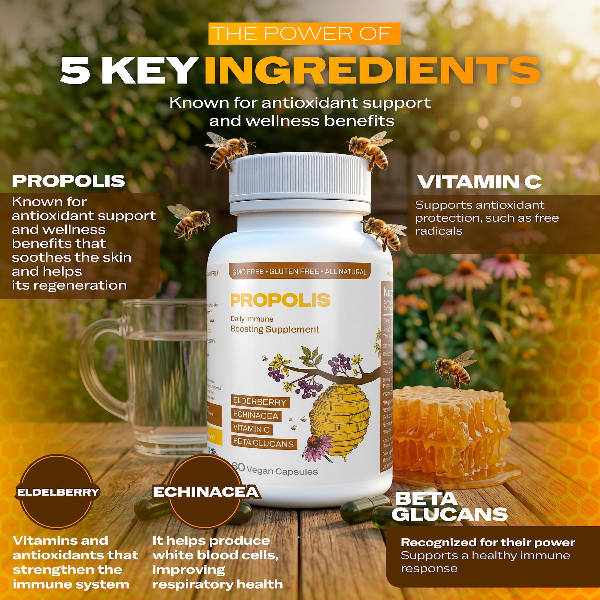 Only Nutri Labs Bee Propolis Dietary Supplement, with Elderberry, Echinacea, Vitamin C and Beta Glucans - Daily Wellness Capsules for Adults (60 Count) Only Nutri Labs uk supplements
