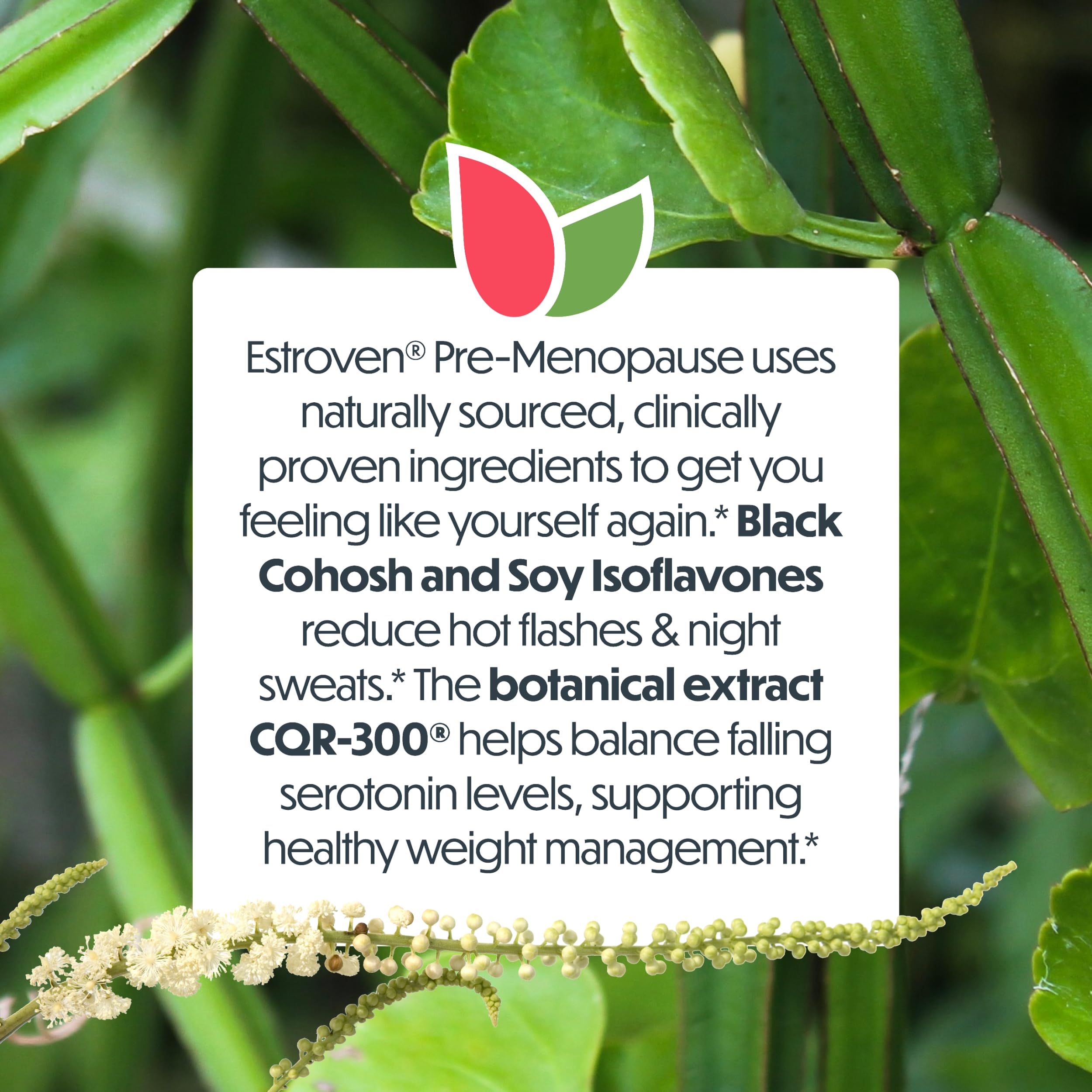 Estroven Pre-Menopause Relief, 30 Ct., Clinically Proven Ingredients, Provides Menopause Relief plus Night Sweats & Hot Flash Relief, Drug-Free or Estrogen Free Estroven uk supplements