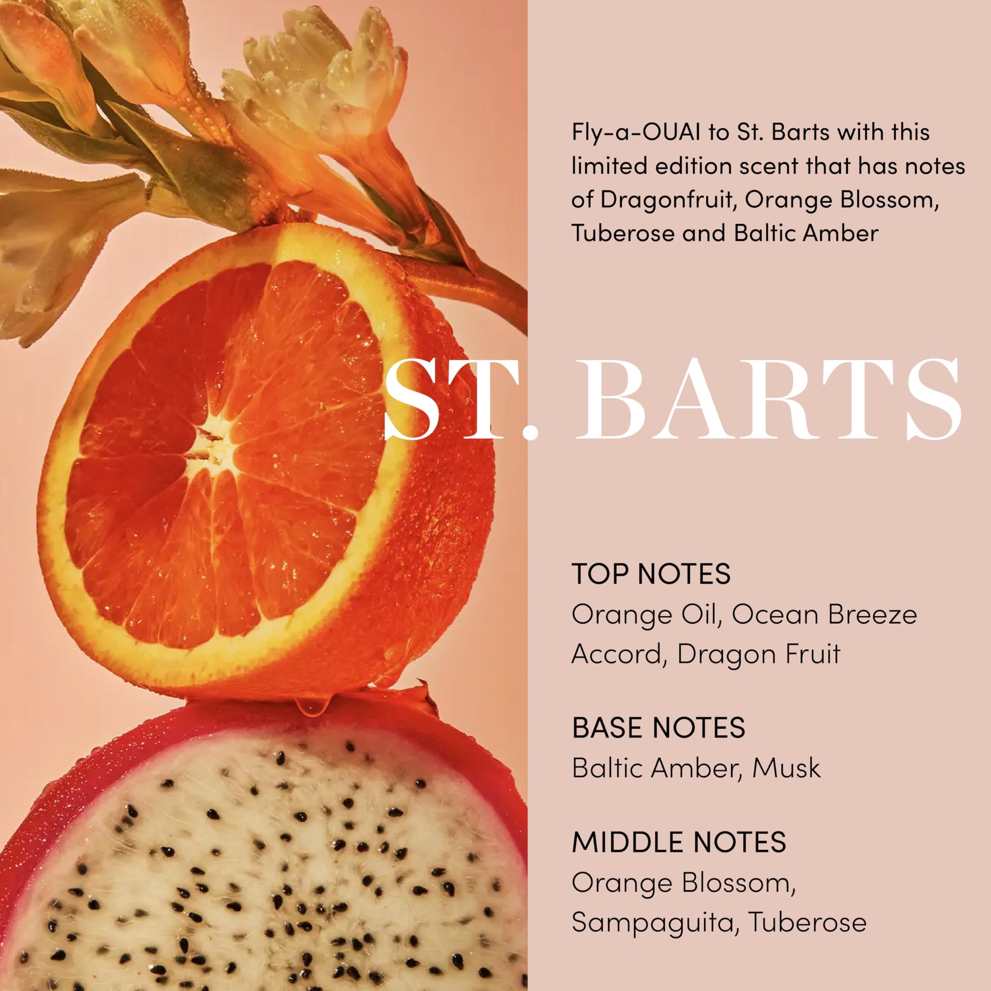 OUAI Body Cream, St. Barts - Hydrating Whipped Body Cream with Cupuaçu Butter, Coconut Oil and Squalane - Softens Skin and Delivers Healthy-Looking Glow - Sulfate-Free Skin Care (7.5 Oz) OUAI uk supplements