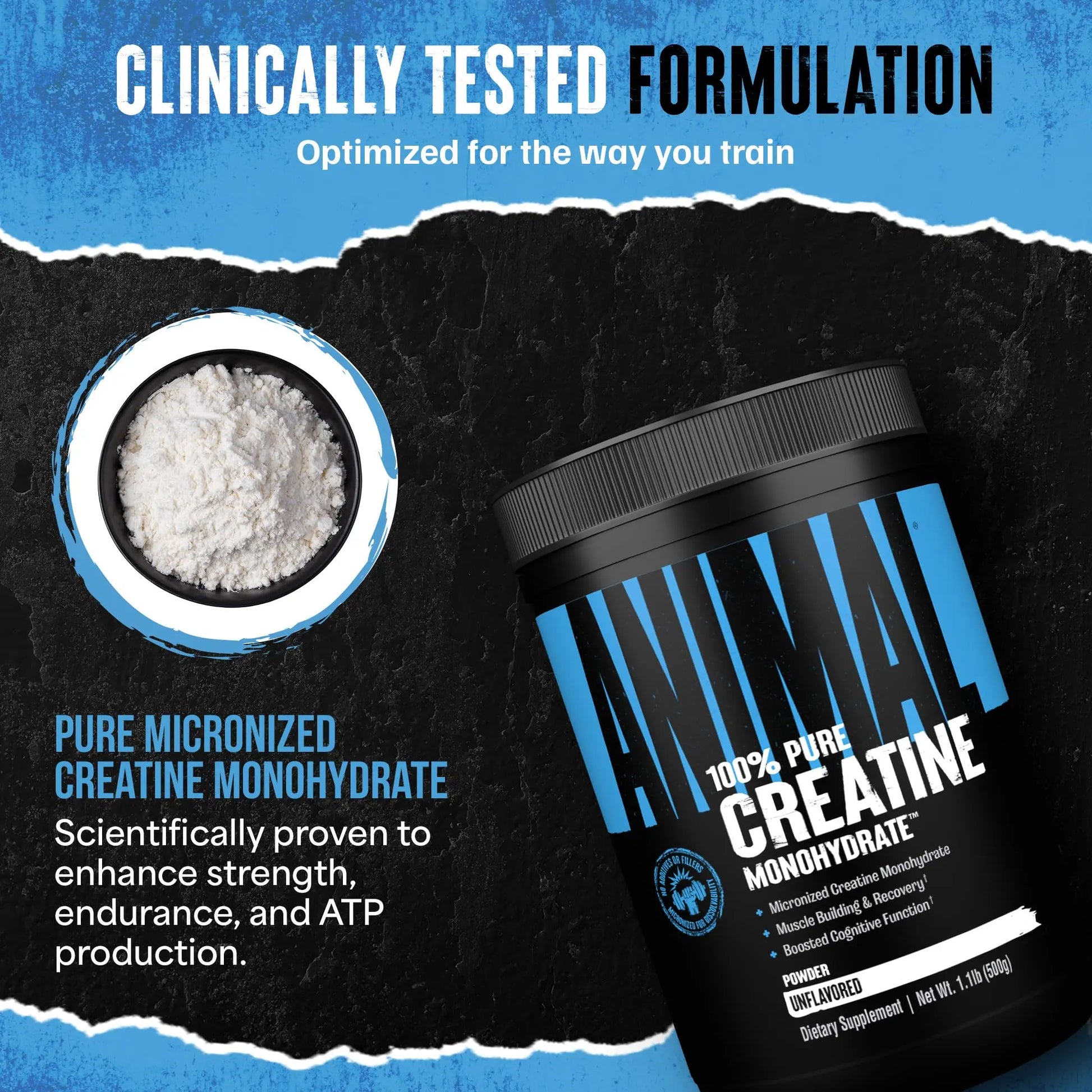 Animal Creatine Monohydrate Powder - Micronized Creatine for Women and Men, Supports Muscle Growth, Strength, Endurance, Recovery and ATP Production, Animal uk supplements