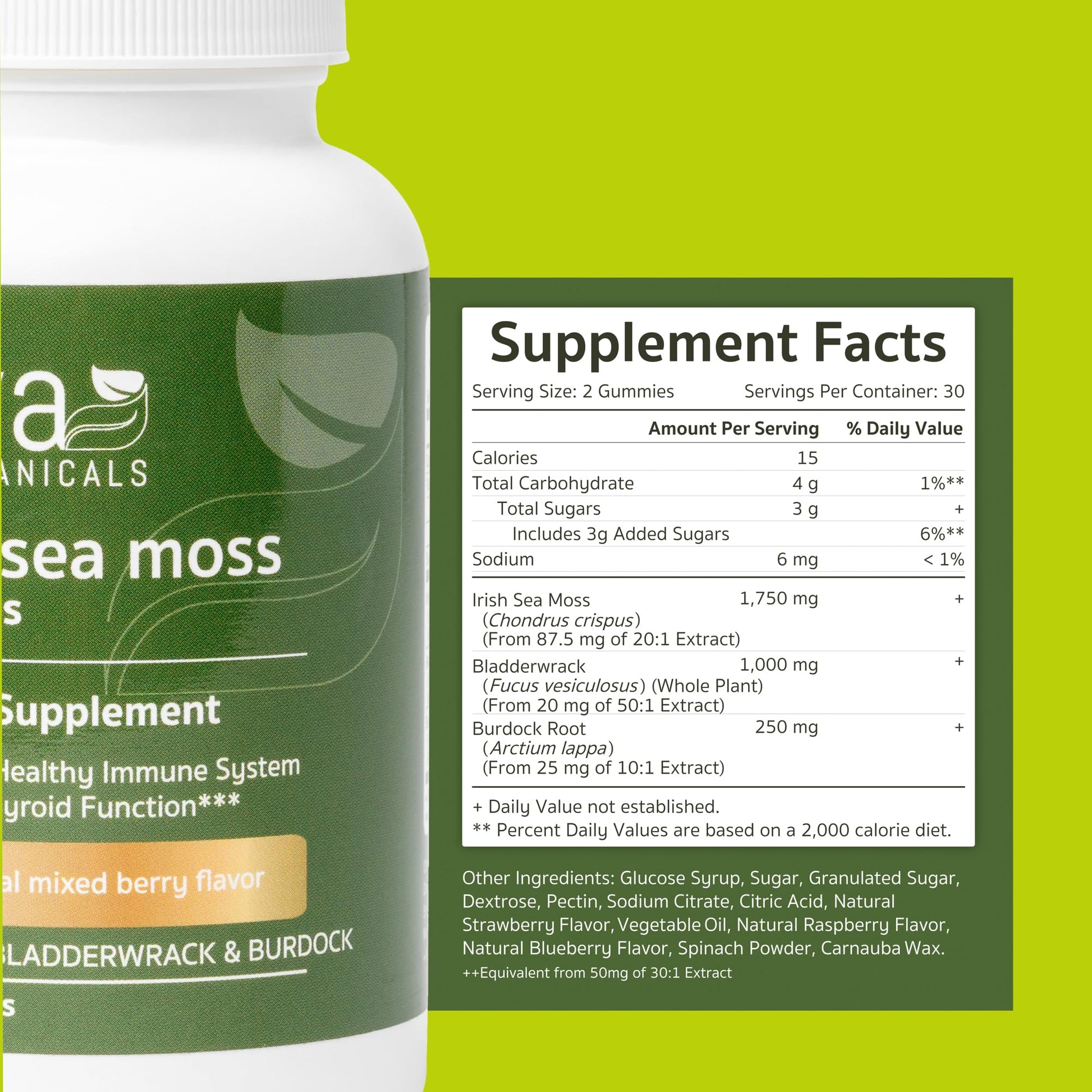 Jiva Botanicals - Irish Sea Moss Gummies with Bladderwrack & Burdock Root 3000mg Jiva Botanicals uk supplements