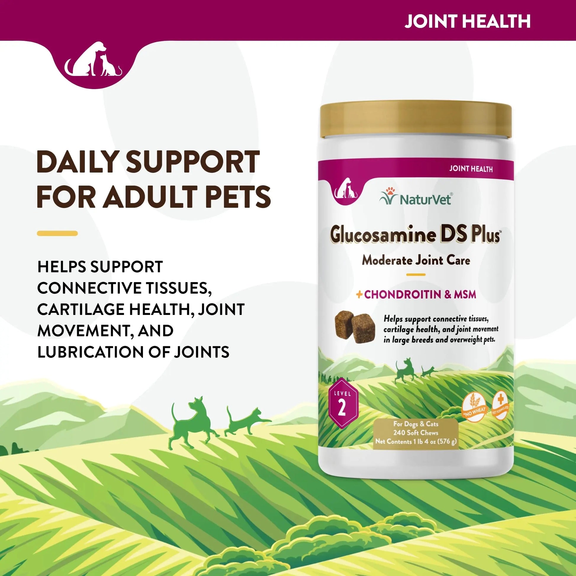 NaturVet – Glucosamine DS Plus - Level 2 Moderate Care – Supports Healthy Hip & Joint Function – Enhanced with Glucosamine, MSM & Chondroitin – for Dogs & Cats – 240 Soft Chews NaturVet uk supplements