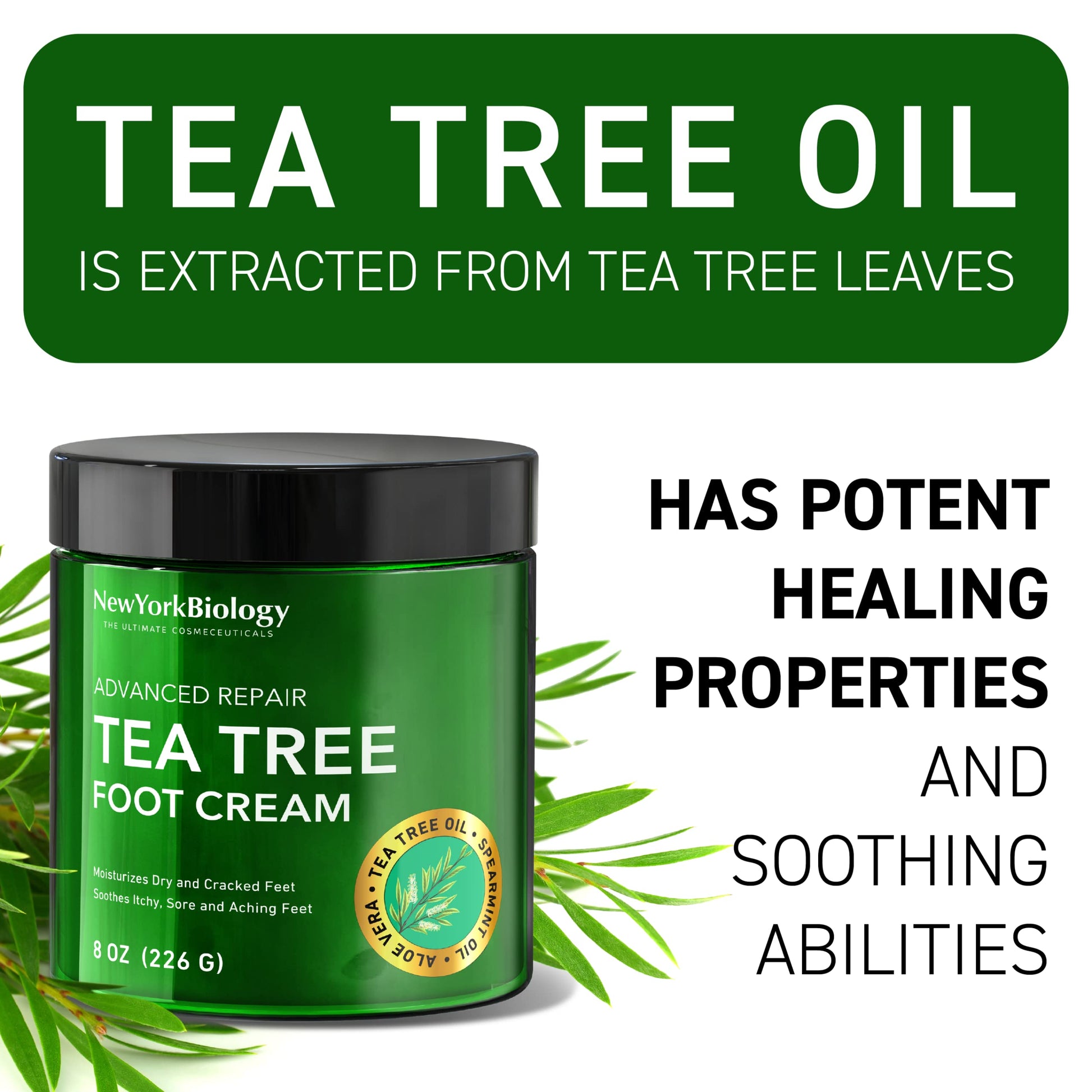 New York Biology Tea Tree Oil Foot Cream for Dry Cracked Feet, Athletes Foot, Nail Fungus NEW YORK BIOLOGY THE ULTIMATE COSMECEUTICALS uk supplements