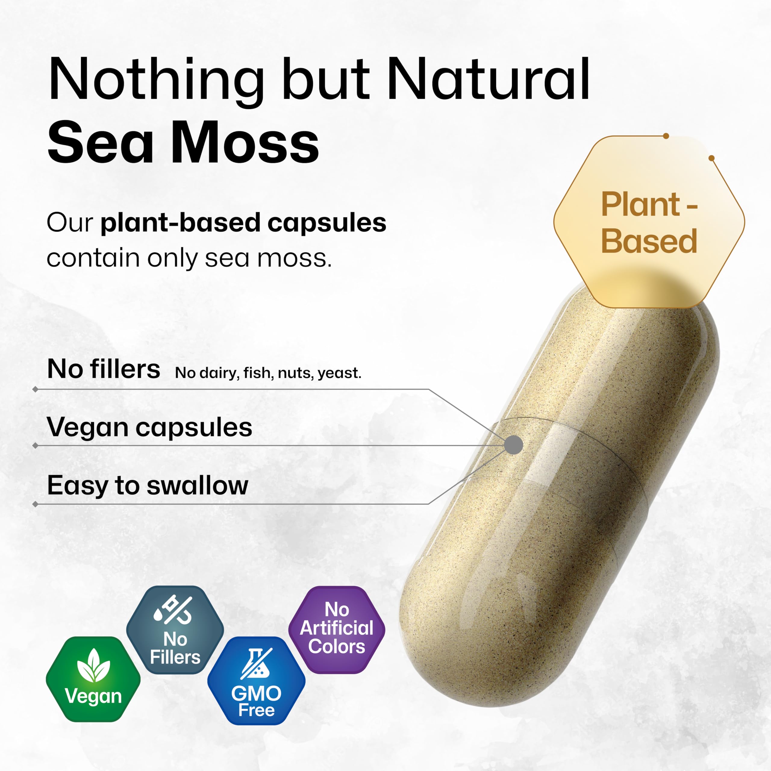 BIO KRAUTER® 2-in-1 Sea Moss for Thyroid Support - Vegan Bladderwrack & Sea Moss Capsules for Women & Men - Natural Сhondrus Сrispus Seaweed Supplement 1600 mg - 125 Days of Supply, Non-GMO BIO KRAUTER uk supplements