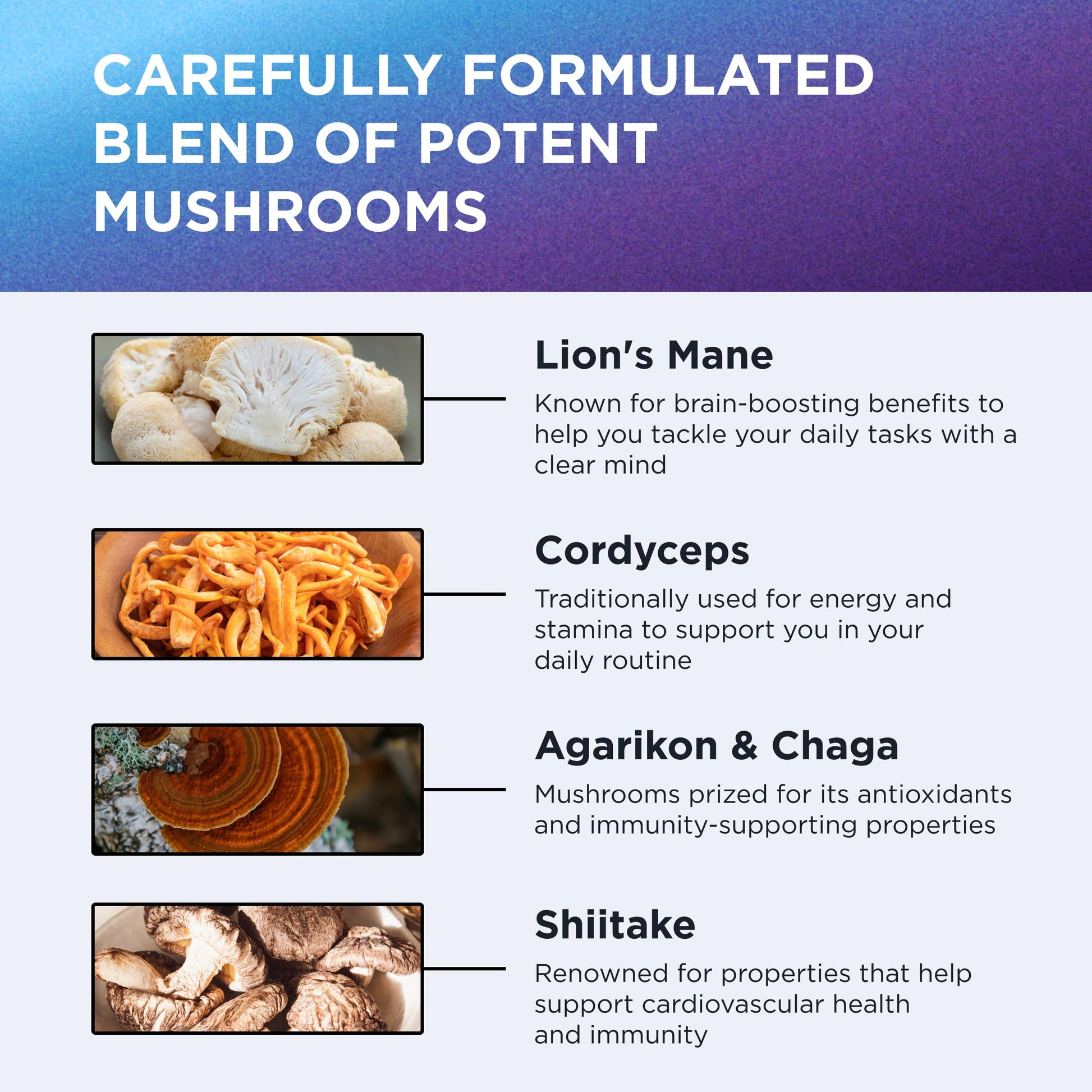 DR. EMIL NUTRITION 10 Mushroom Supplement for Mental Clarity, Focus & Immune Support - Functional Mushroom Nootropic Supplement with Lions Mane Extract, Cordyceps, Turkey Tail & More DR. EMIL NUTRITION uk supplements
