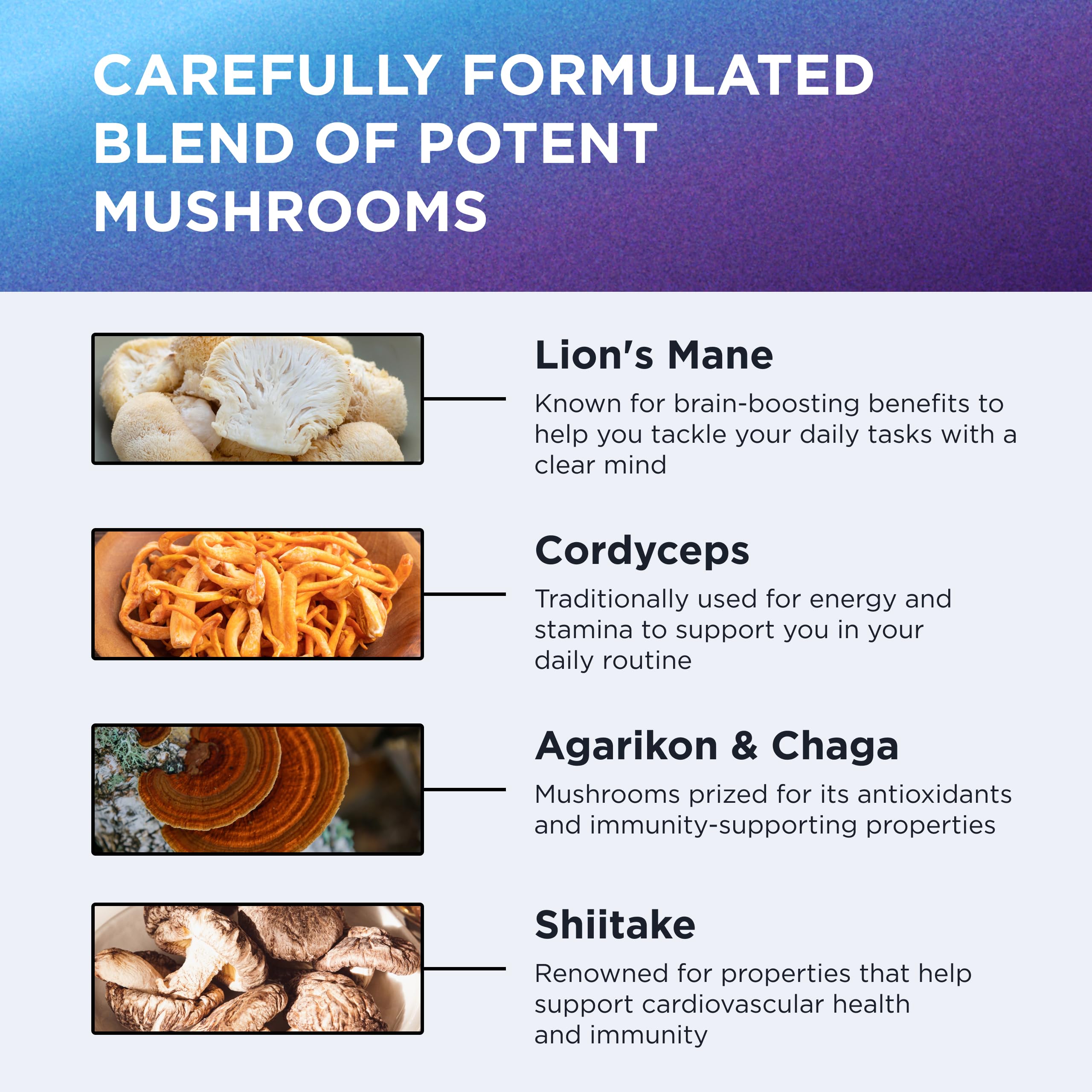 DR. EMIL NUTRITION 10 Mushroom Supplement for Mental Clarity, Focus & Immune Support - Functional Mushroom Nootropic Supplement with Lions Mane Extract, Cordyceps, Turkey Tail & More DR. EMIL NUTRITION uk supplements