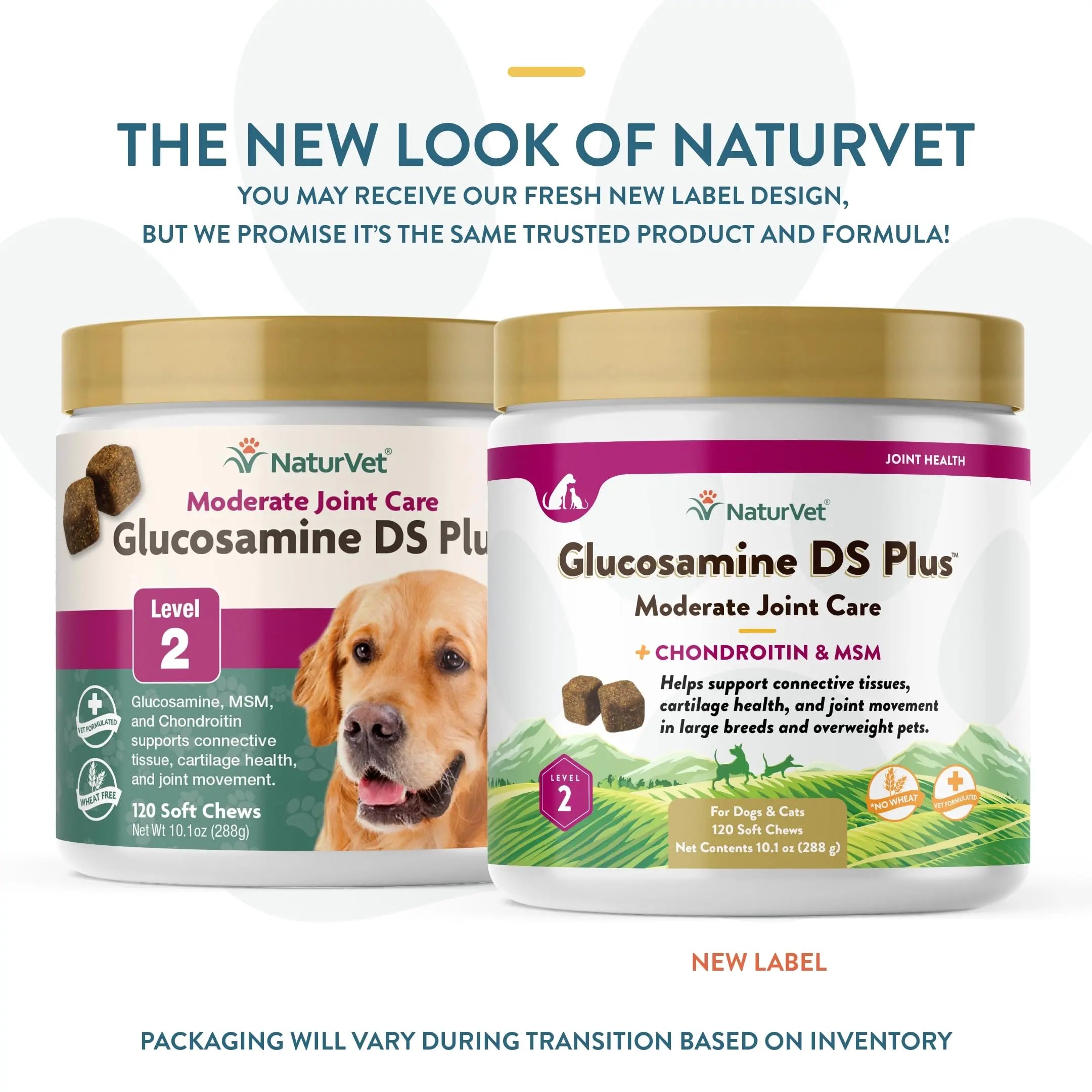 NaturVet – Glucosamine DS Plus - Level 2 Moderate Care – Supports Healthy Hip & Joint Function – Enhanced with Glucosamine, MSM & Chondroitin – for Dogs & Cats–120 Soft Chews NaturVet uk supplements