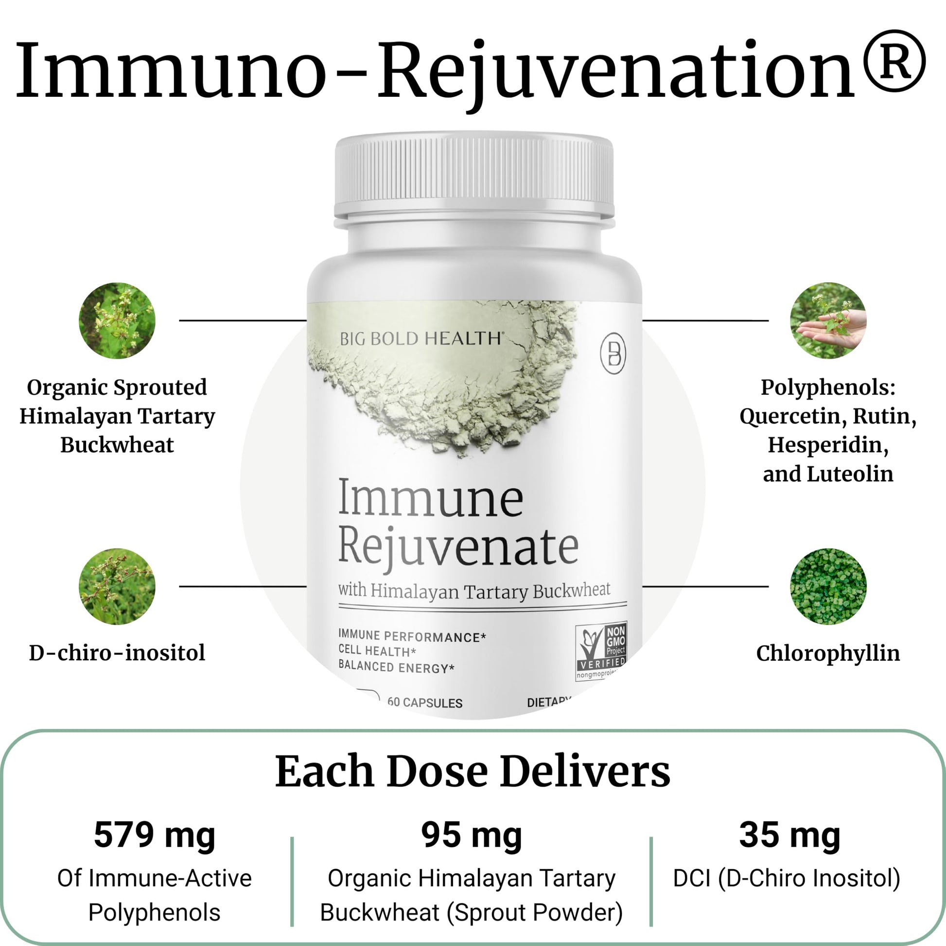 BIG BOLD HEALTH HTB Immune Rejuvenate - Polyphenols Supplement for Immune Support with Himalayan Tartary Buckwheat - Gluten Free, Dairy Free, Non-GMO Formula - 60 Vegetarian Capsules BIG BOLD HEALTH uk supplements