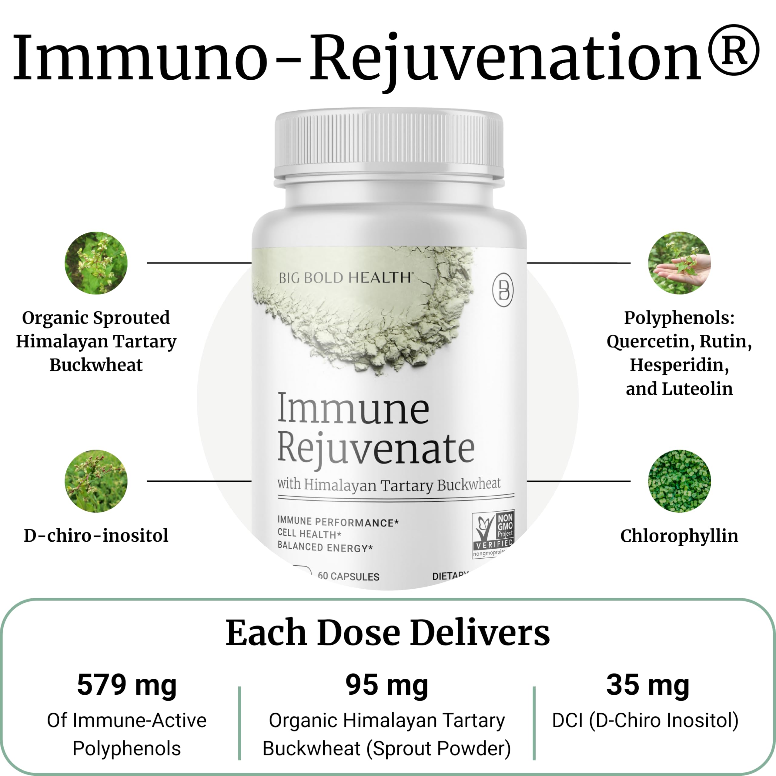 BIG BOLD HEALTH HTB Immune Rejuvenate - Polyphenols Supplement for Immune Support with Himalayan Tartary Buckwheat - Gluten Free, Dairy Free, Non-GMO Formula - 60 Vegetarian Capsules BIG BOLD HEALTH uk supplements