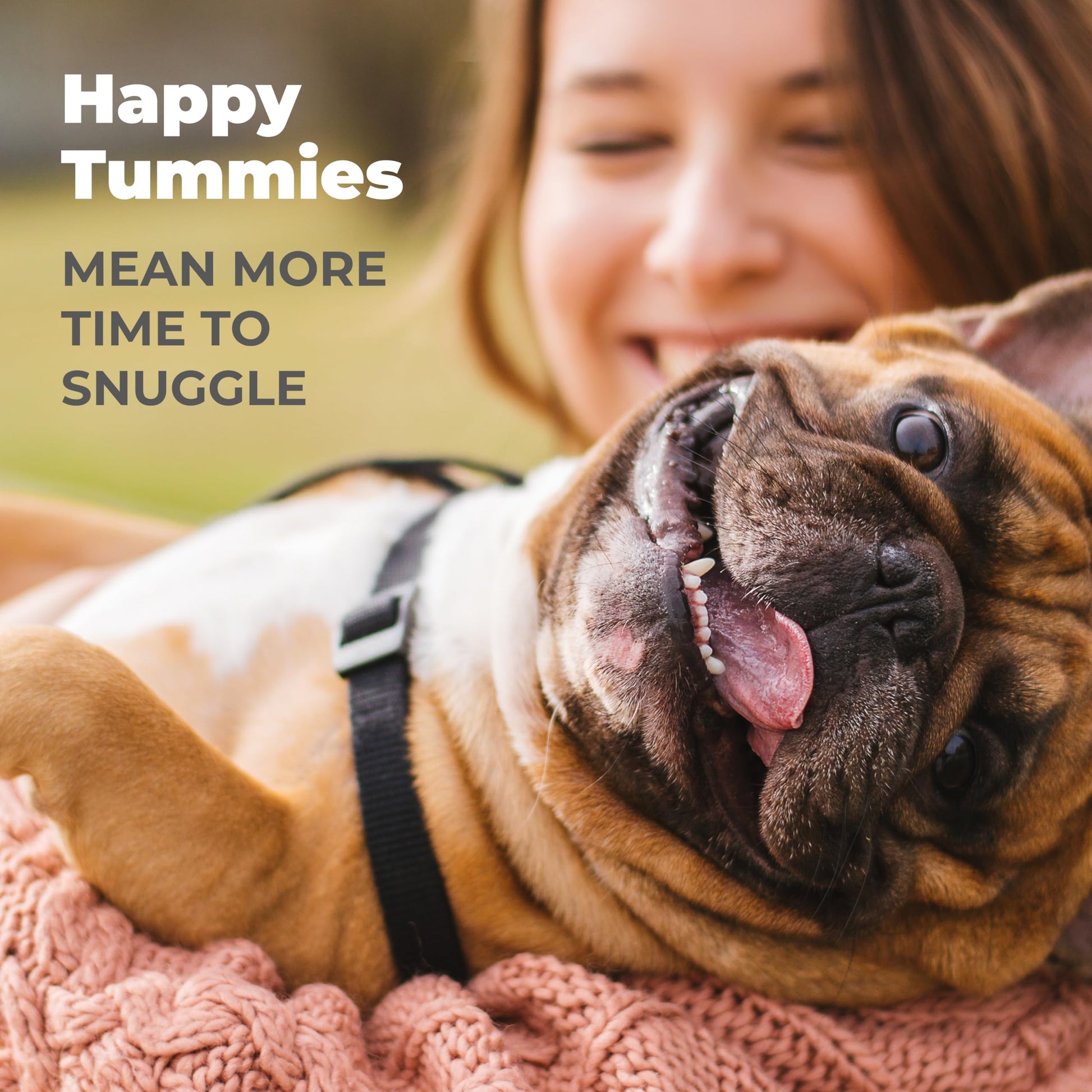Vetnique Glandex Daily Probiotics for Dogs with Prebiotics to Support Gut Health with Fiber and Digestive Enzymes, Dog Probiotic Chews or Powders (30ct Chews, Bacon Chews) Vetnique uk supplements