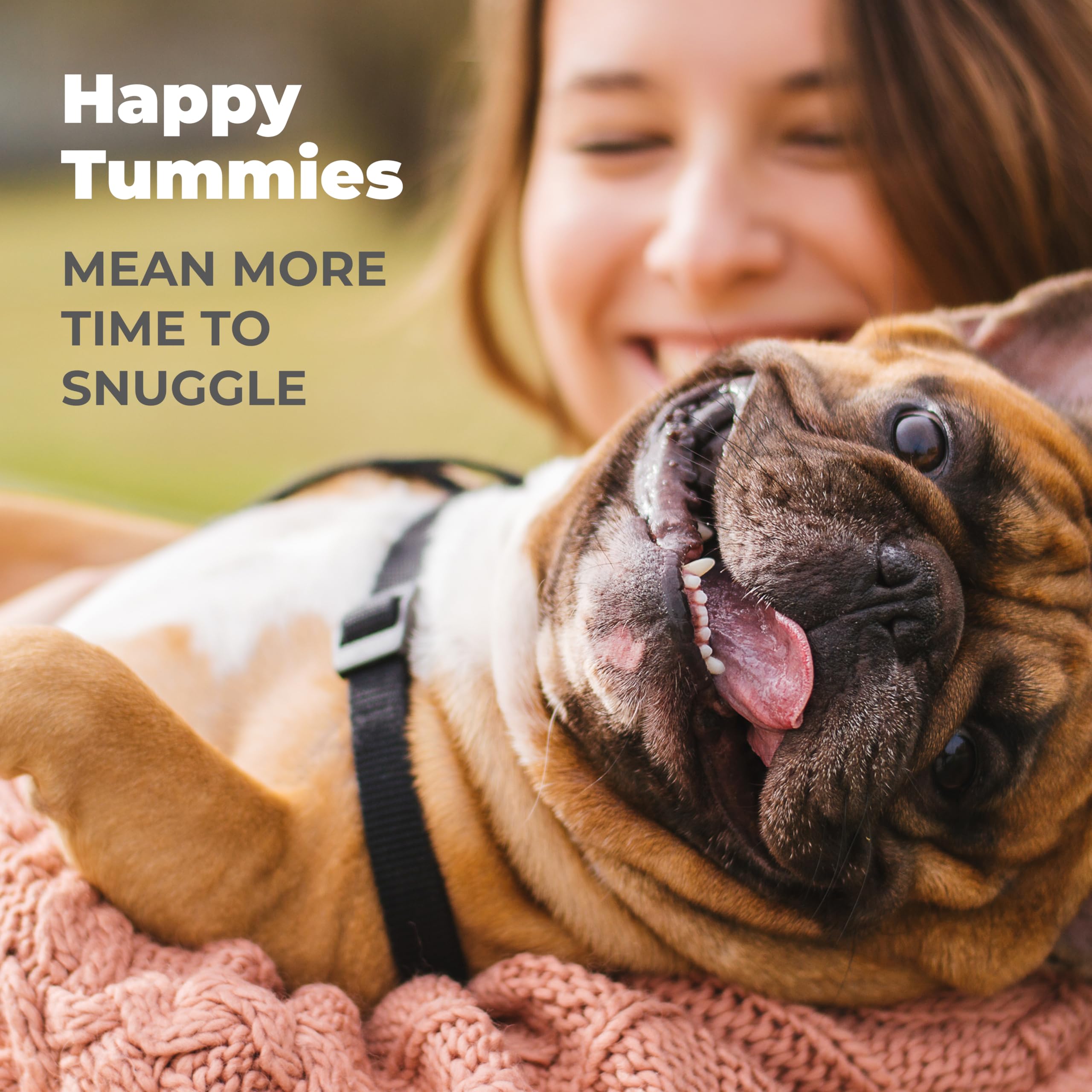 Vetnique Glandex Daily Probiotics for Dogs with Prebiotics to Support Gut Health with Fiber and Digestive Enzymes, Dog Probiotic Chews or Powders (30ct Chews, Bacon Chews) Vetnique uk supplements
