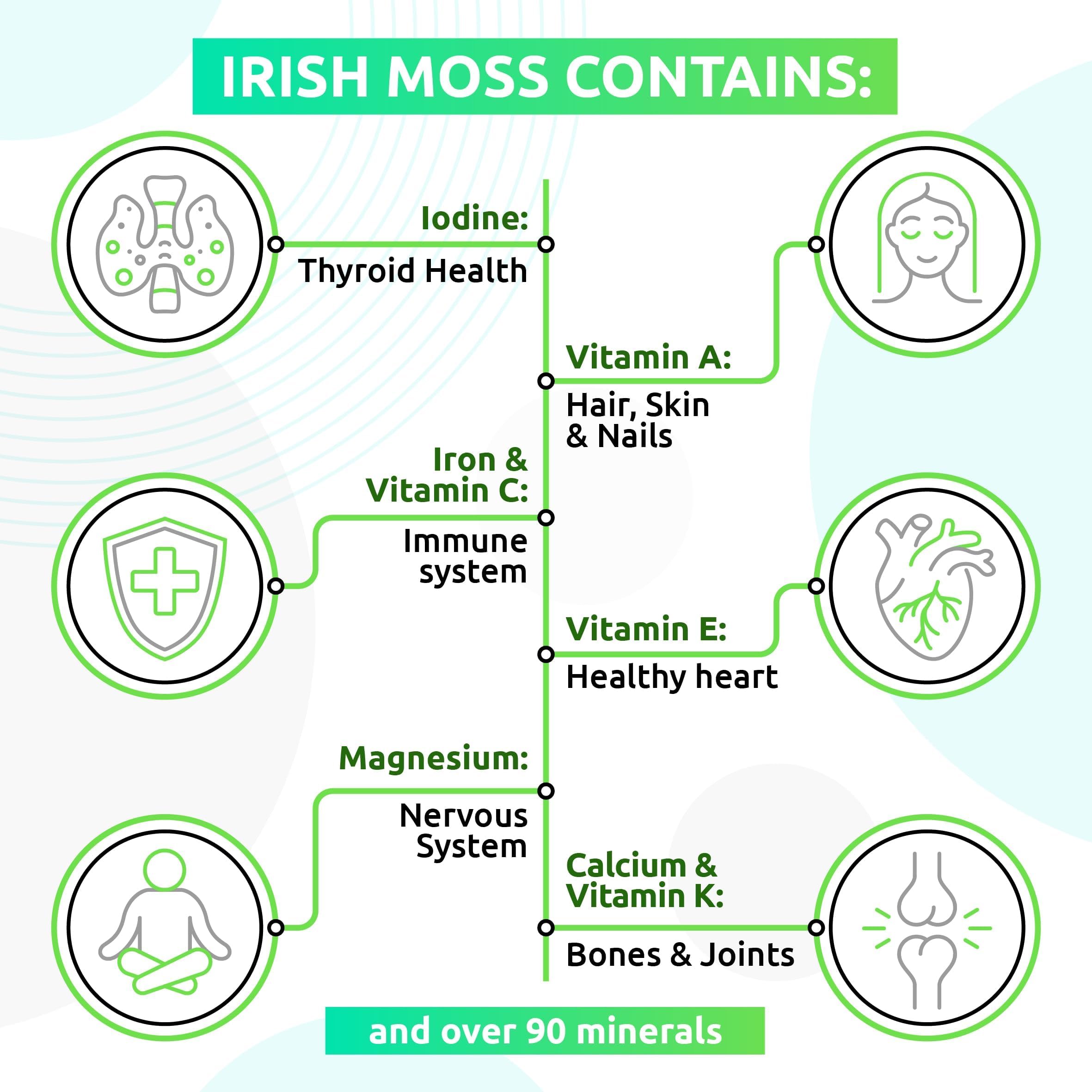 TrueSeaMoss Wildcrafted Irish Sea Moss Gel – Nutritious Raw Seamoss Rich in Minerals TrueSeaMoss uk supplements